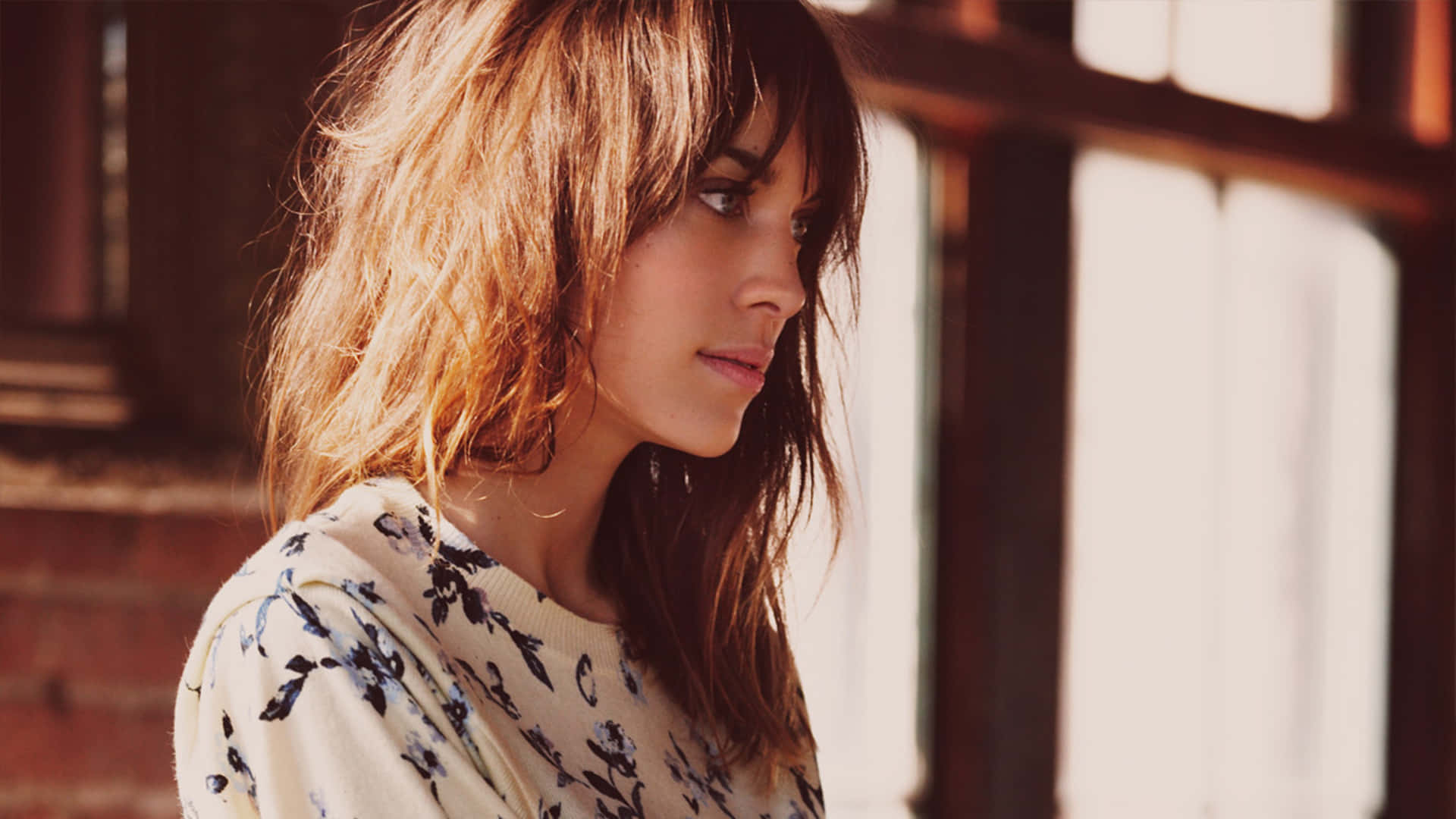 Alexa Chung, side glance profile, sunlit window, Full HD Desktop Wallpaper