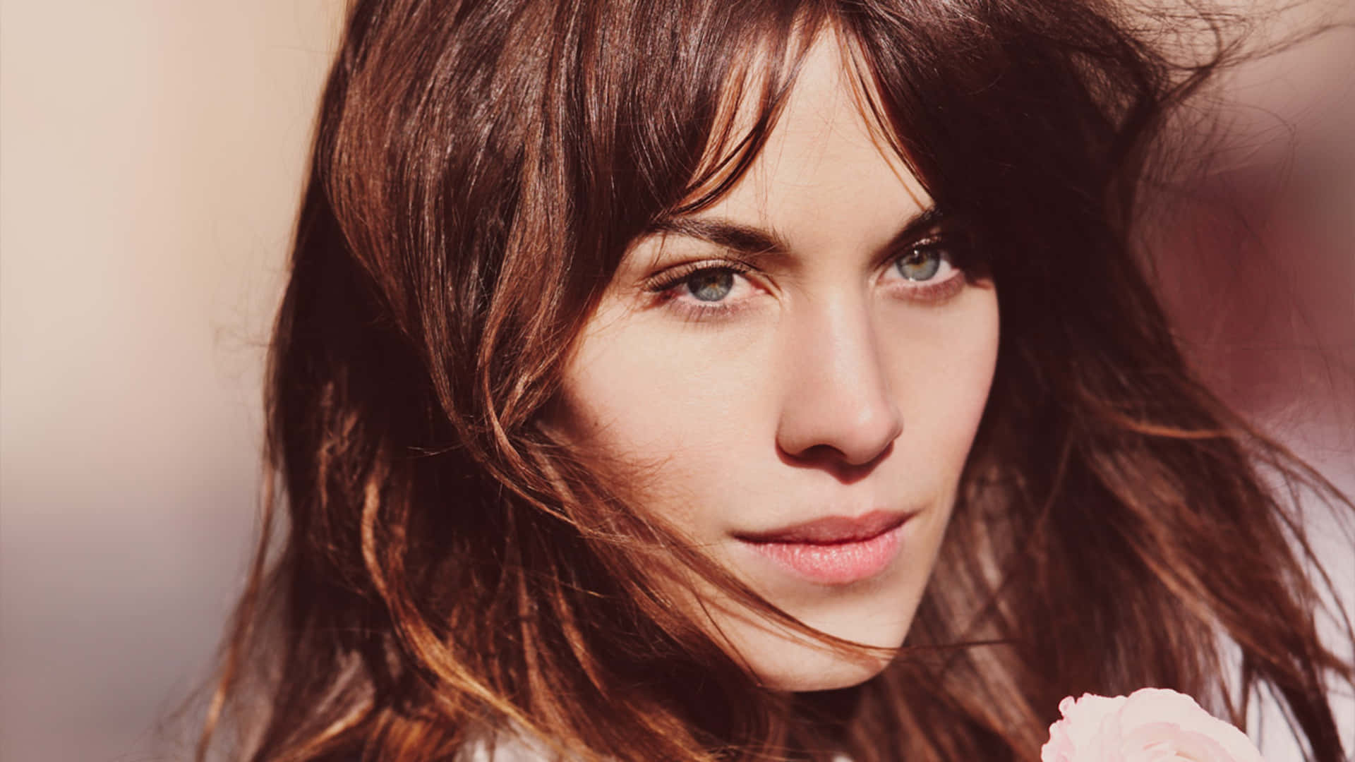 Alexa Chung, windswept brown hair, green eyes, Full HD Desktop Wallpaper