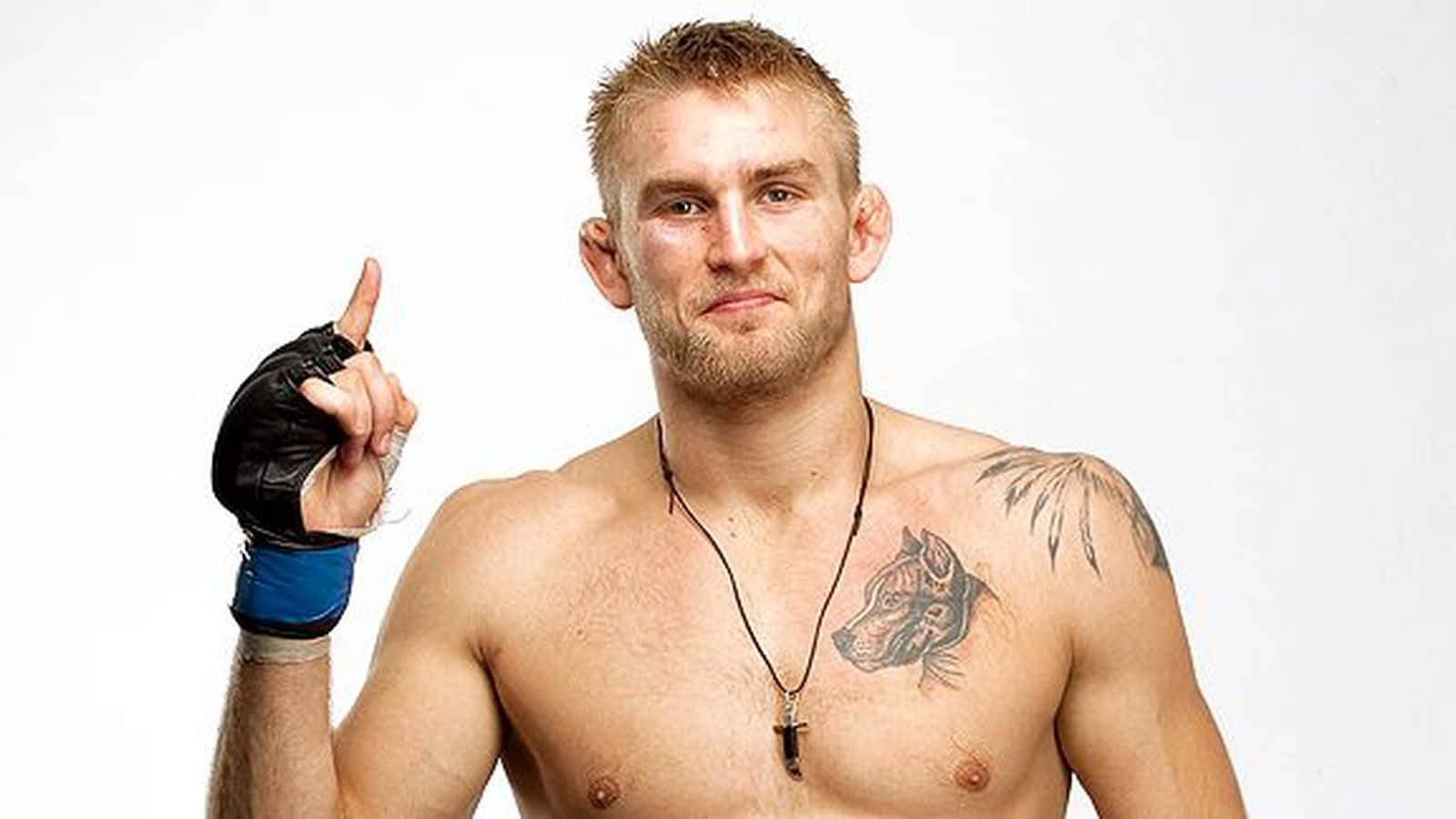 Alexander Gustafsson, dog tattoo, black glove, HD Desktop Wallpaper