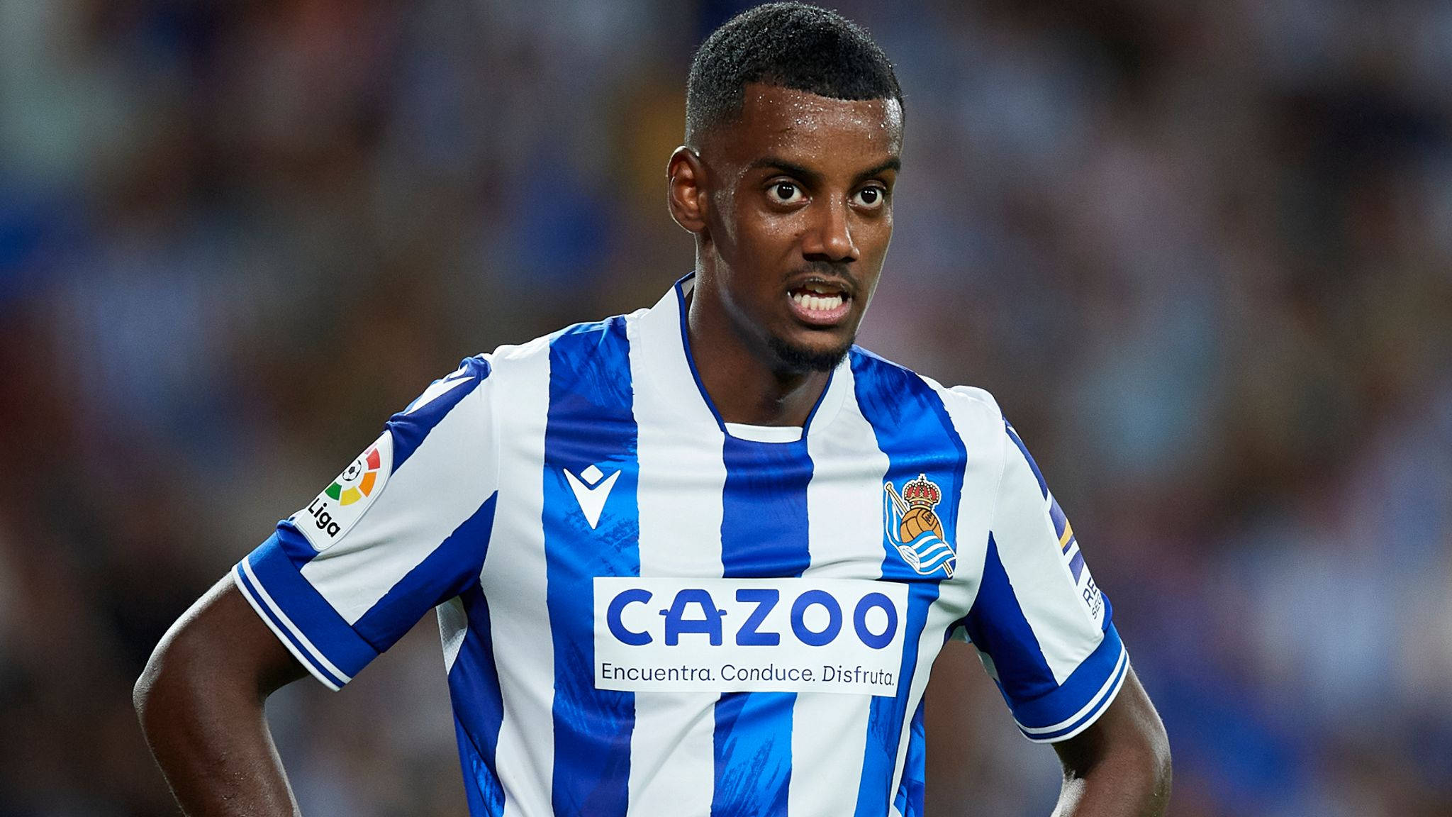 Alexander Isak, blue and white striped jersey, match, Full HD Desktop Wallpaper