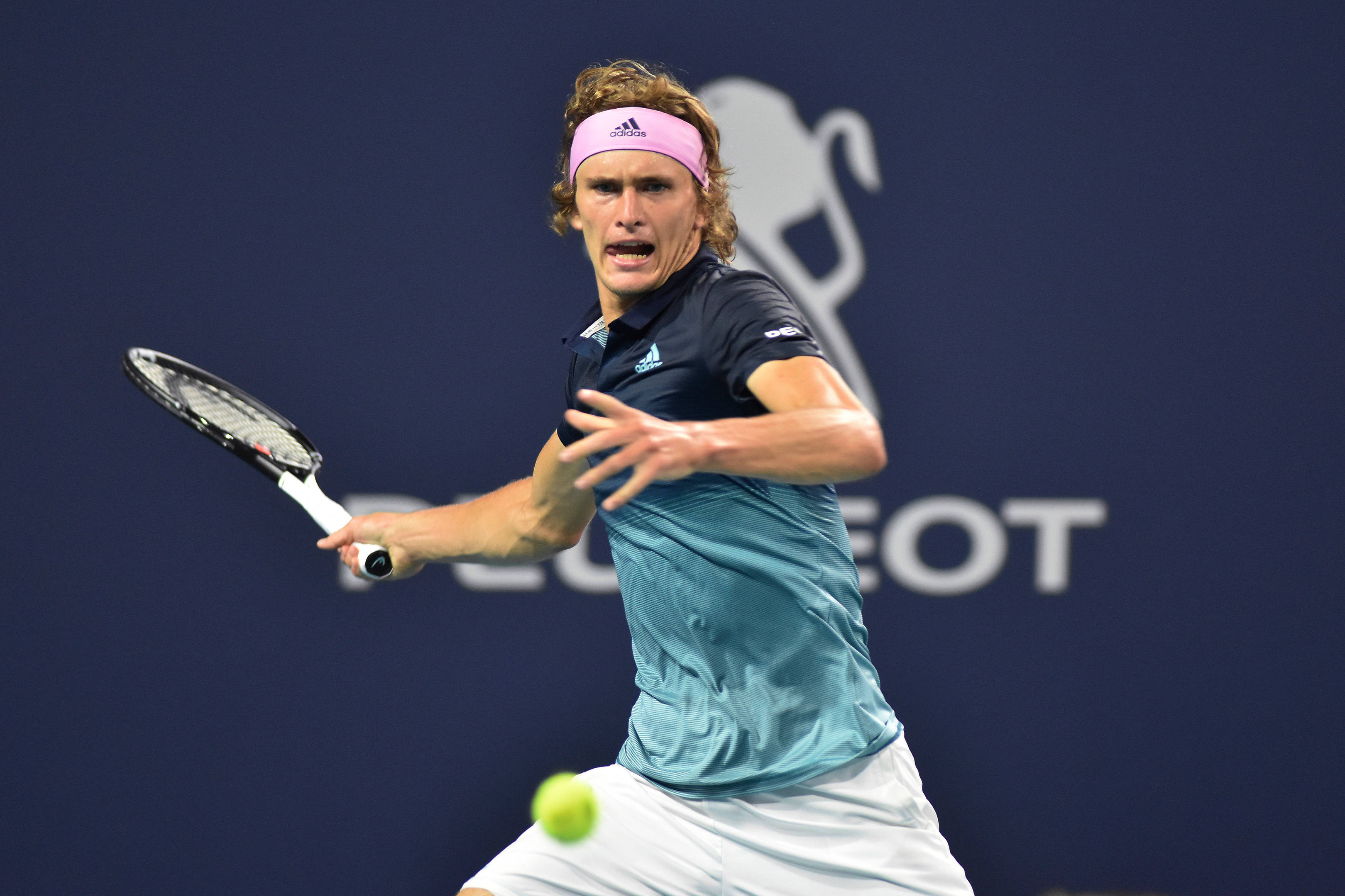 Alexander Zverev, tennis court, dark blue court, 2K Desktop Wallpaper