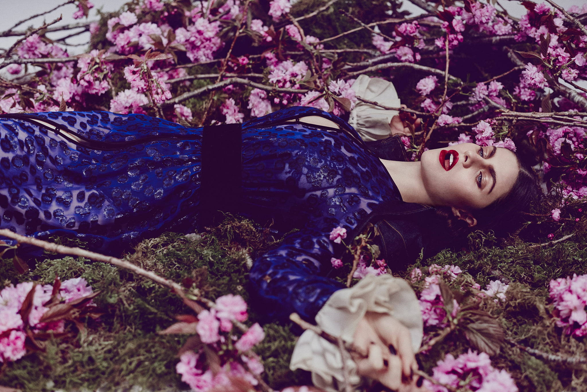 Alexandra Daddario, blue leopard dress, pink cherry blossoms, Full HD Desktop Wallpaper