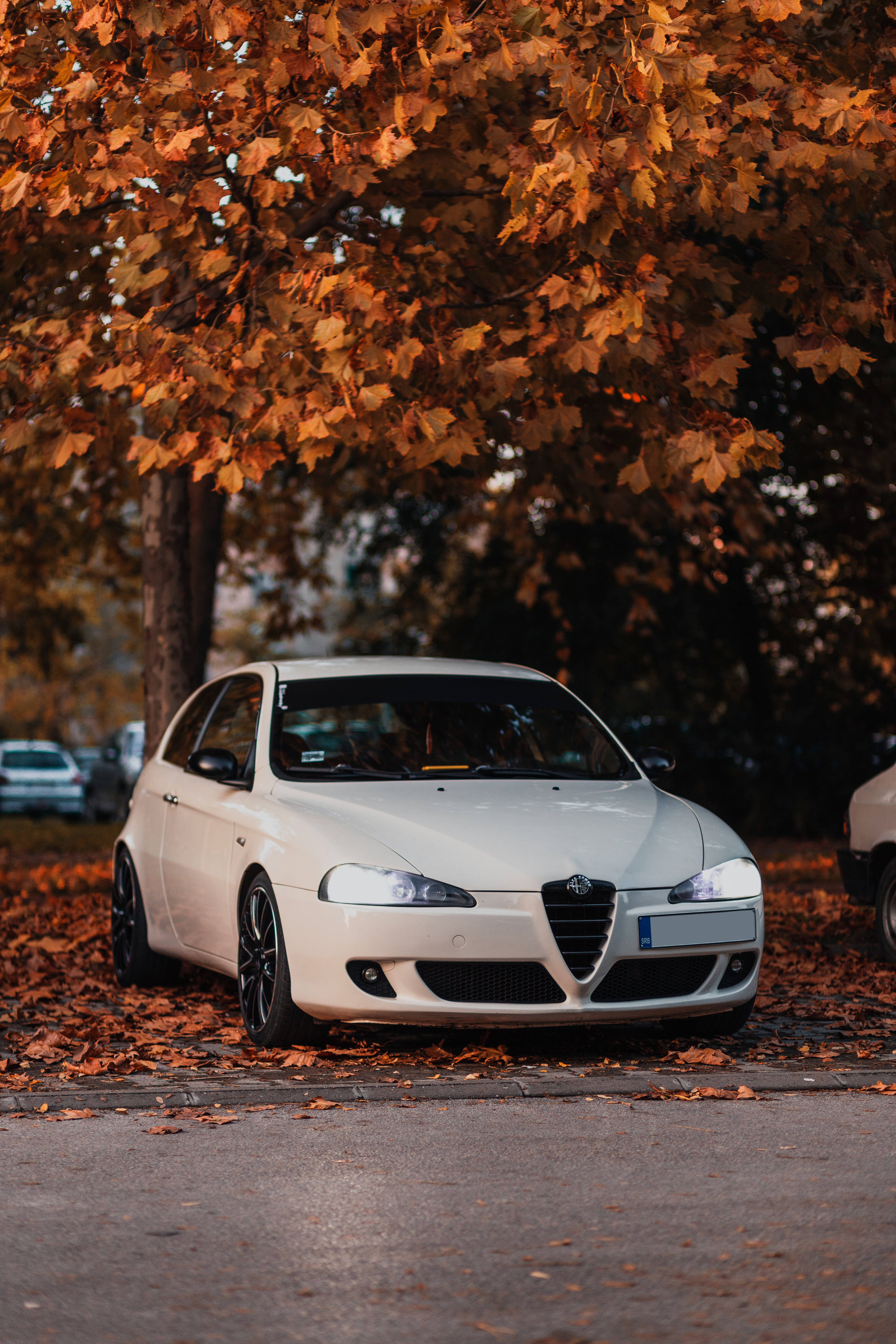 Alfa Romeo 147, white, autumn leaves, 5K Phone Wallpaper