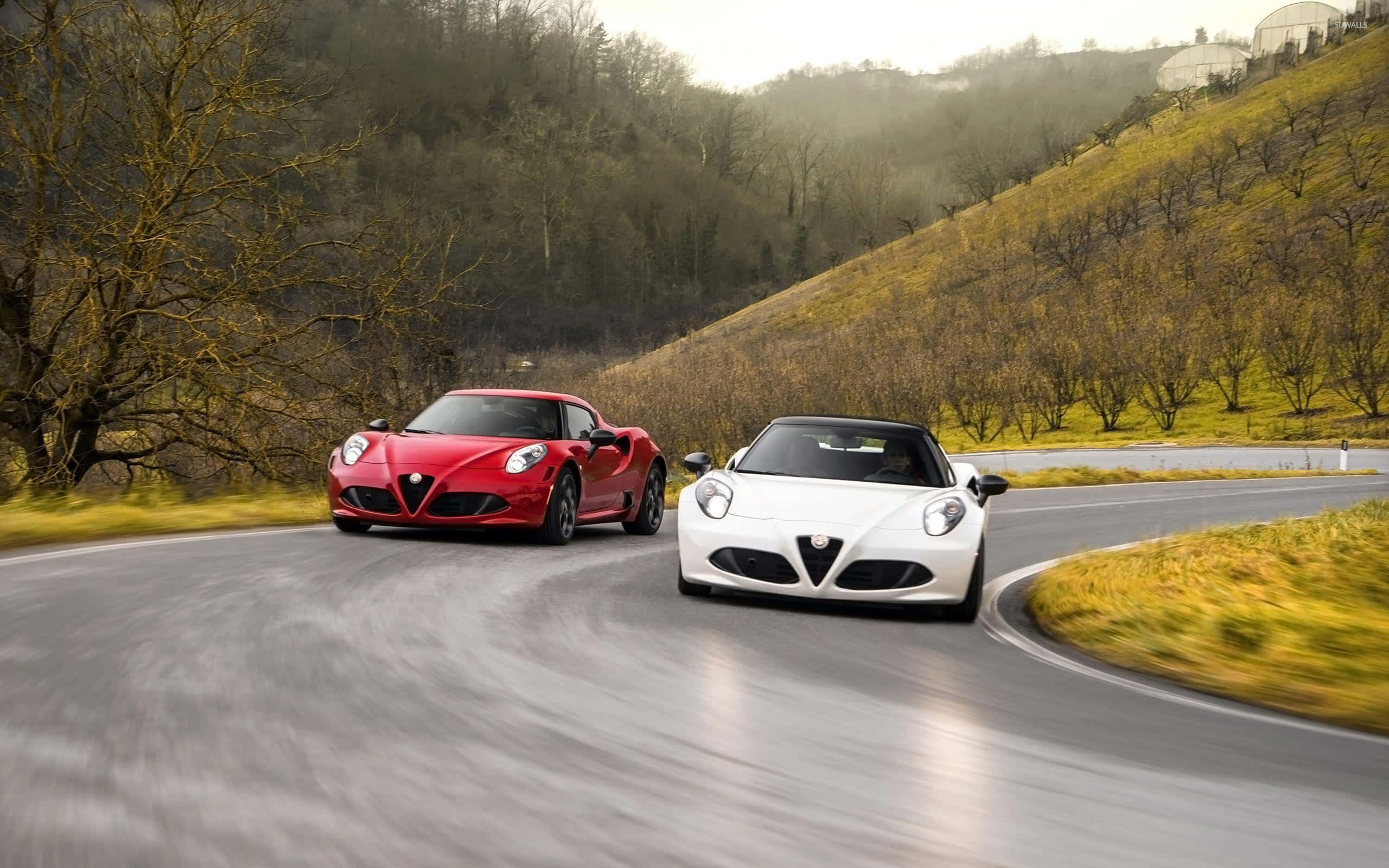 Alfa Romeo 4C, red Alfa Romeo, white Alfa Romeo, 2K Desktop Wallpaper