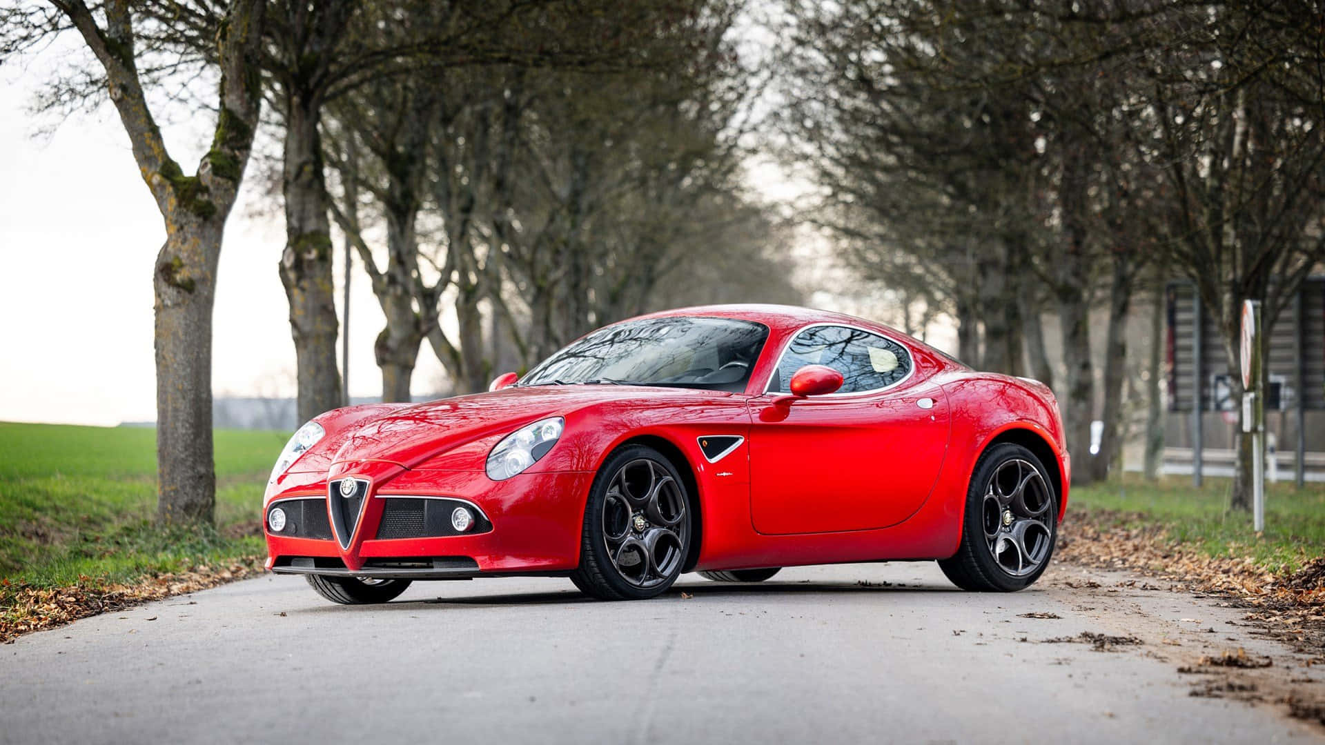 Alfa Romeo 8c Competizione, vibrant red, tree-lined road, Full HD Desktop Wallpaper