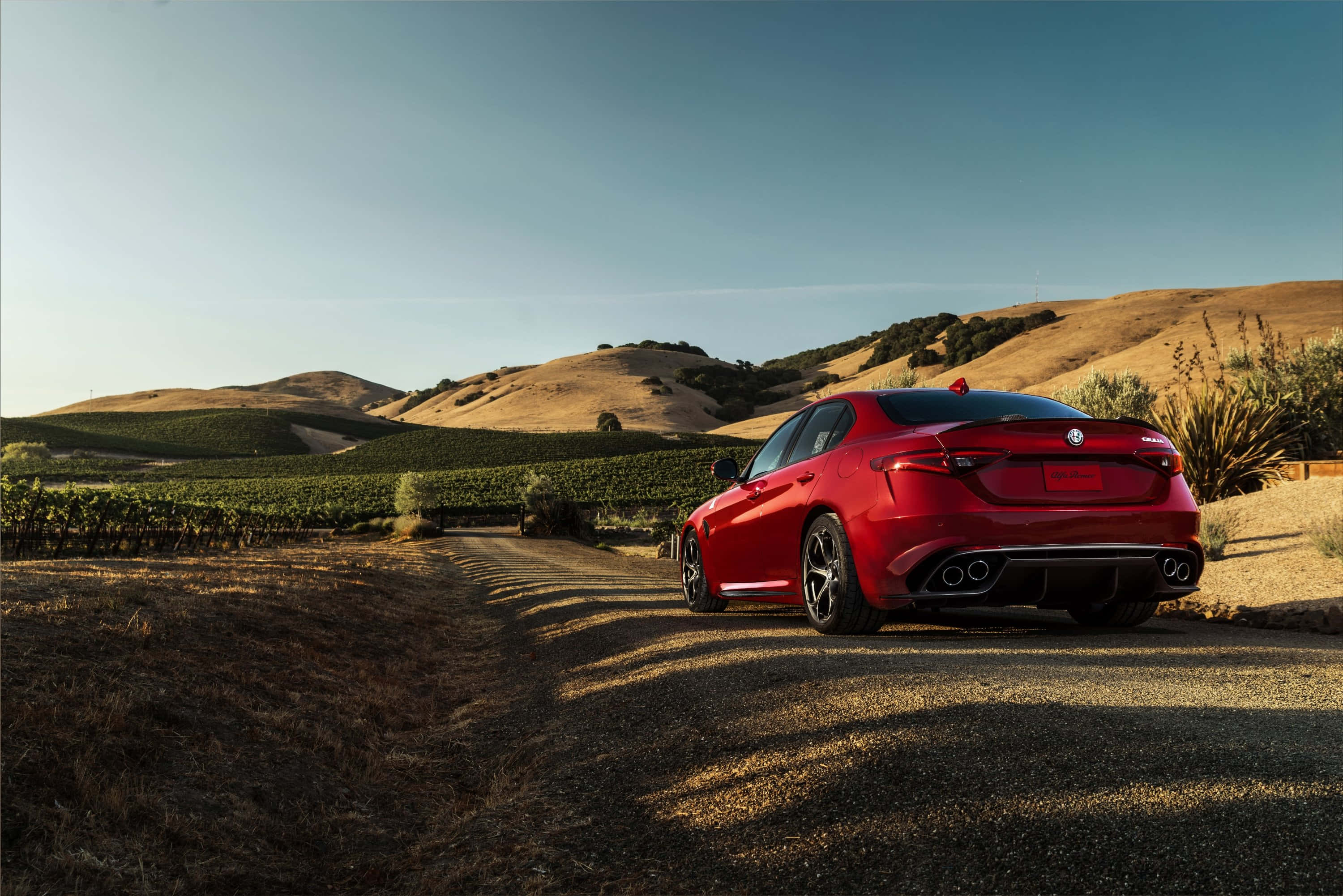 Alfa Romeo Giulia, glossy red, gravel road, 2K Desktop Wallpaper