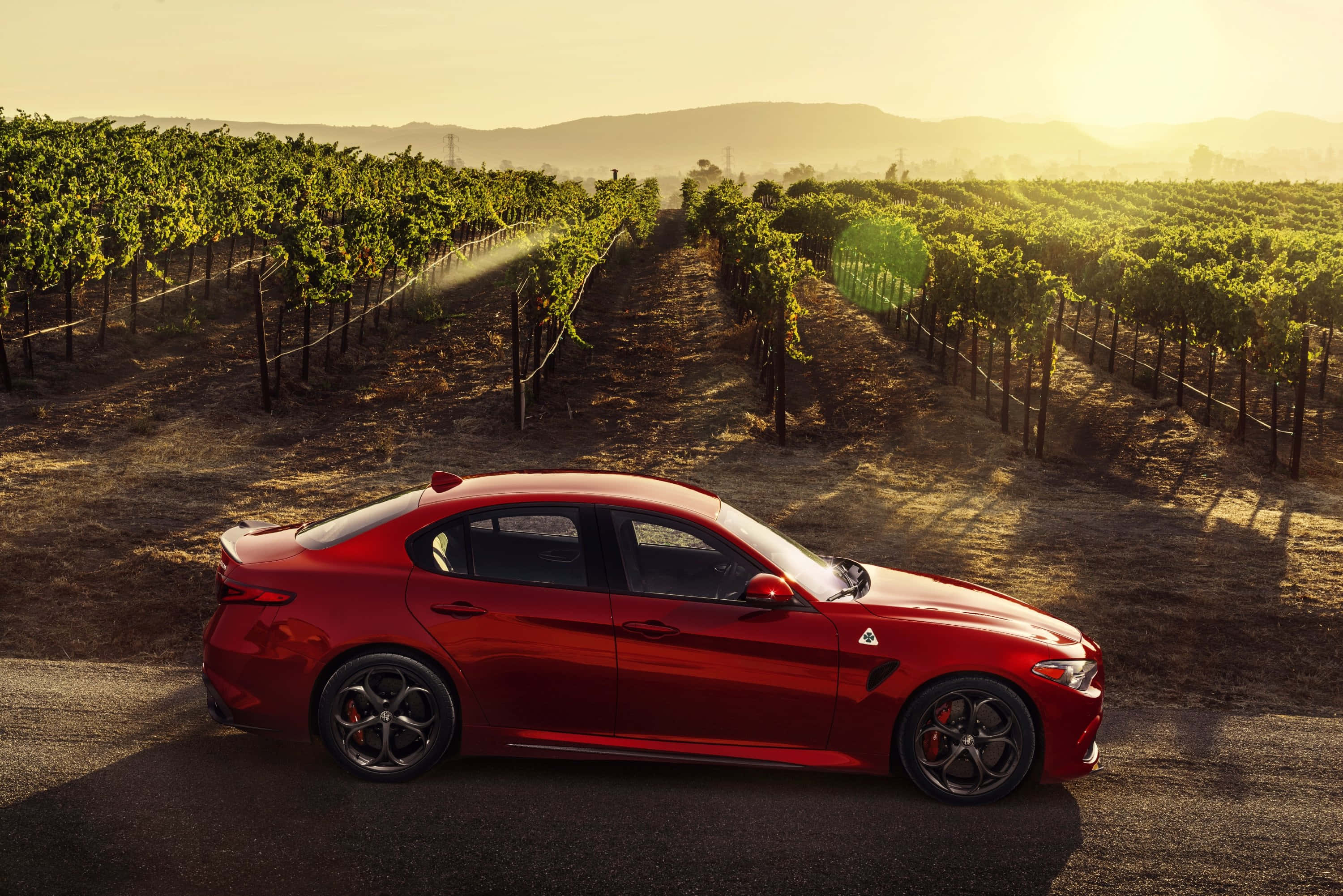 Alfa Romeo Giulia, glossy red, sunlit vineyards, 2K Desktop Wallpaper