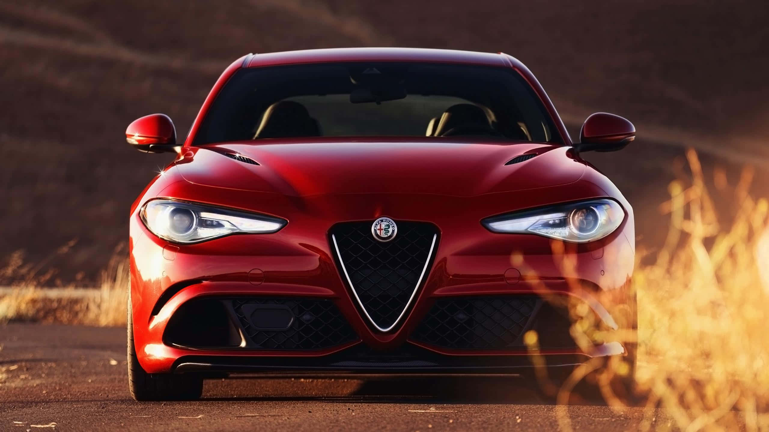 Alfa Romeo Giulia, glossy red, dusty road, 2K Desktop Wallpaper