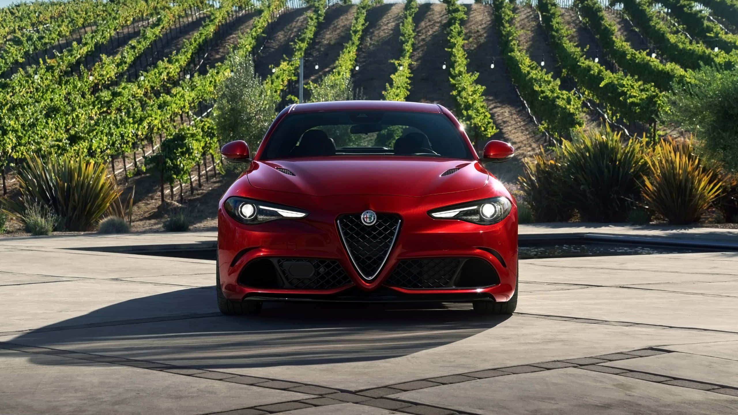 Alfa Romeo Giulia, glossy red, stone patio, 2K Desktop Wallpaper