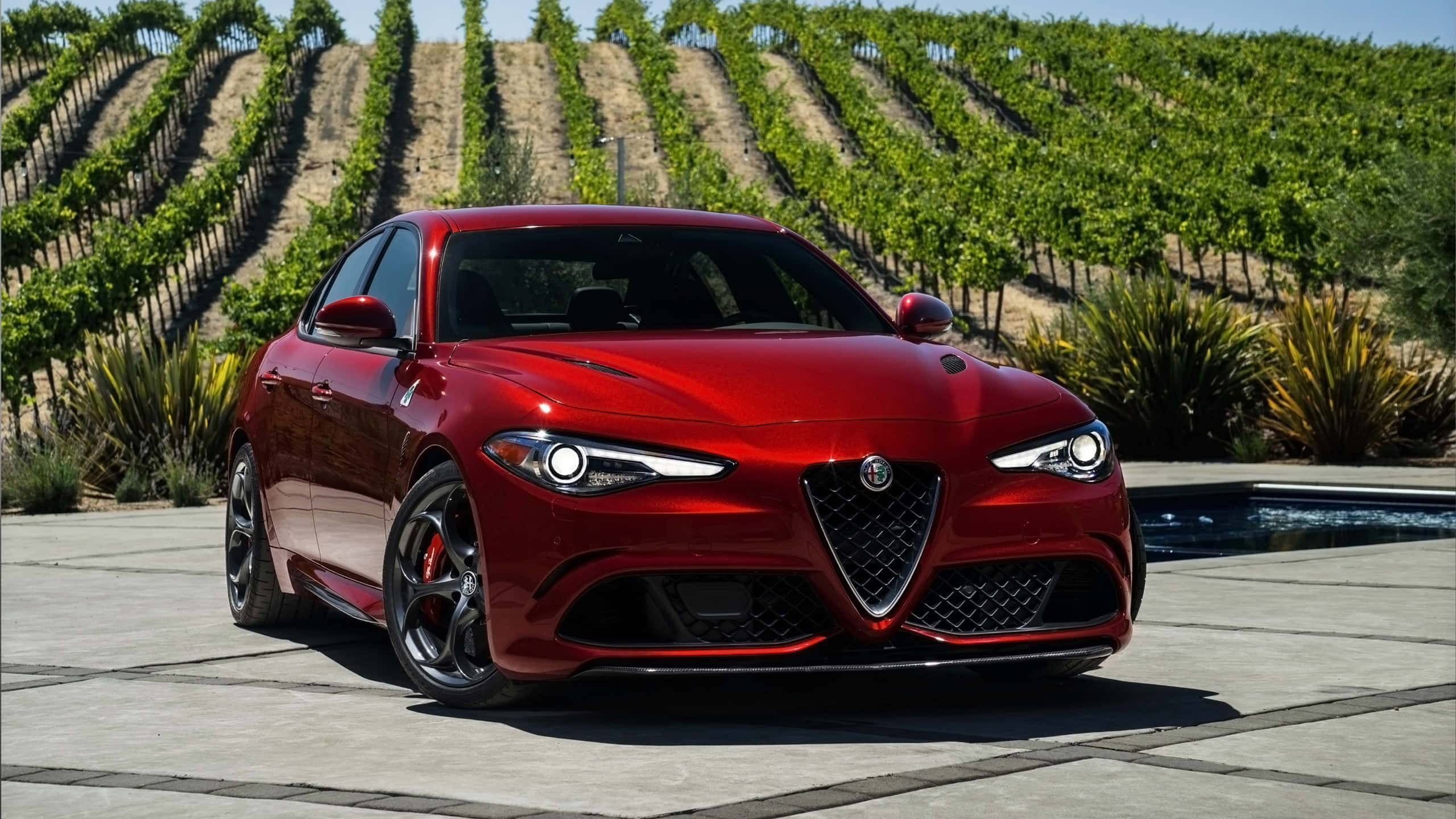 Alfa Romeo Giulia, red, glossy, 2K Desktop Wallpaper