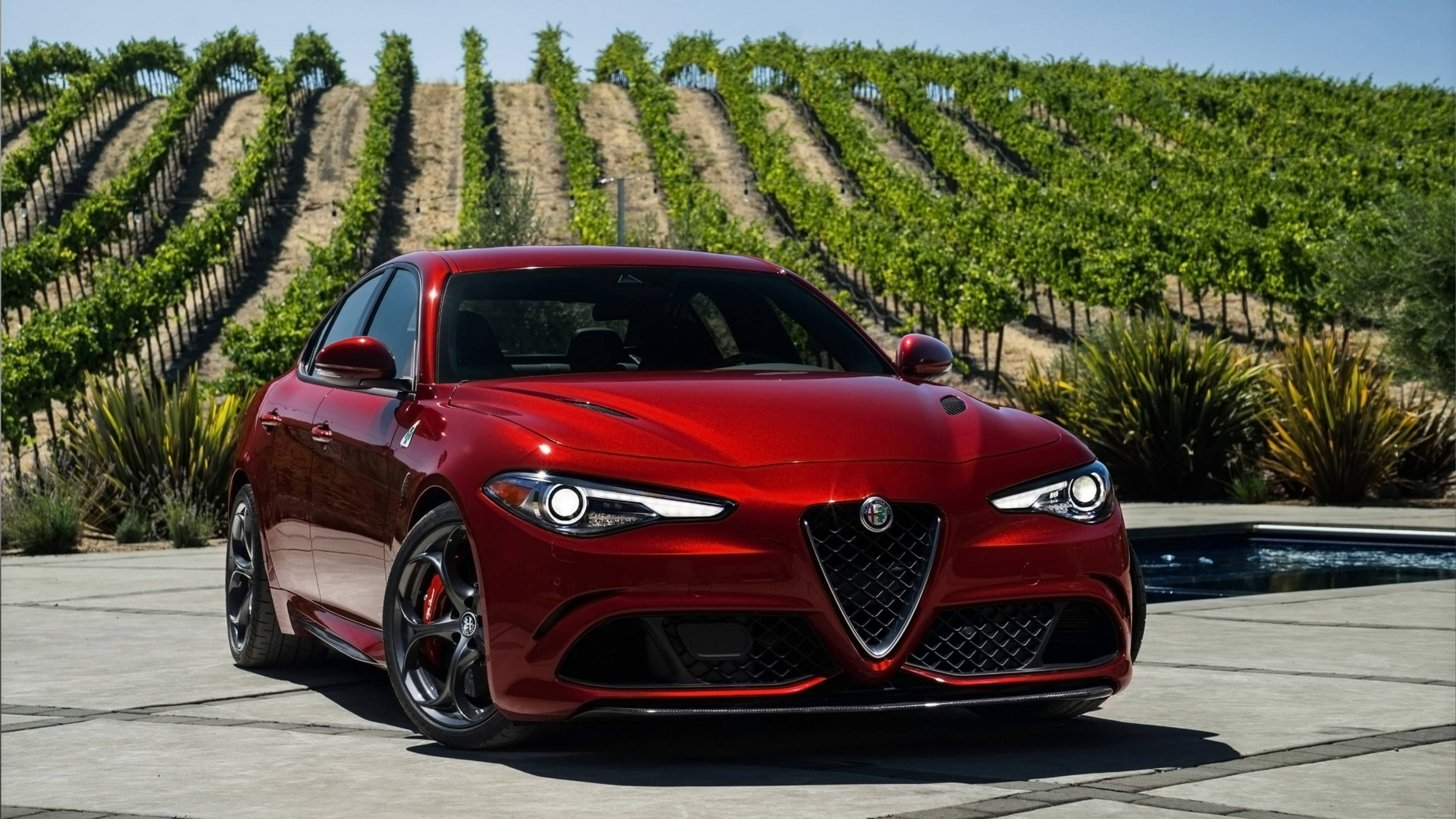Alfa Romeo Giulia, glossy red, bright sun, 4K Desktop Wallpaper