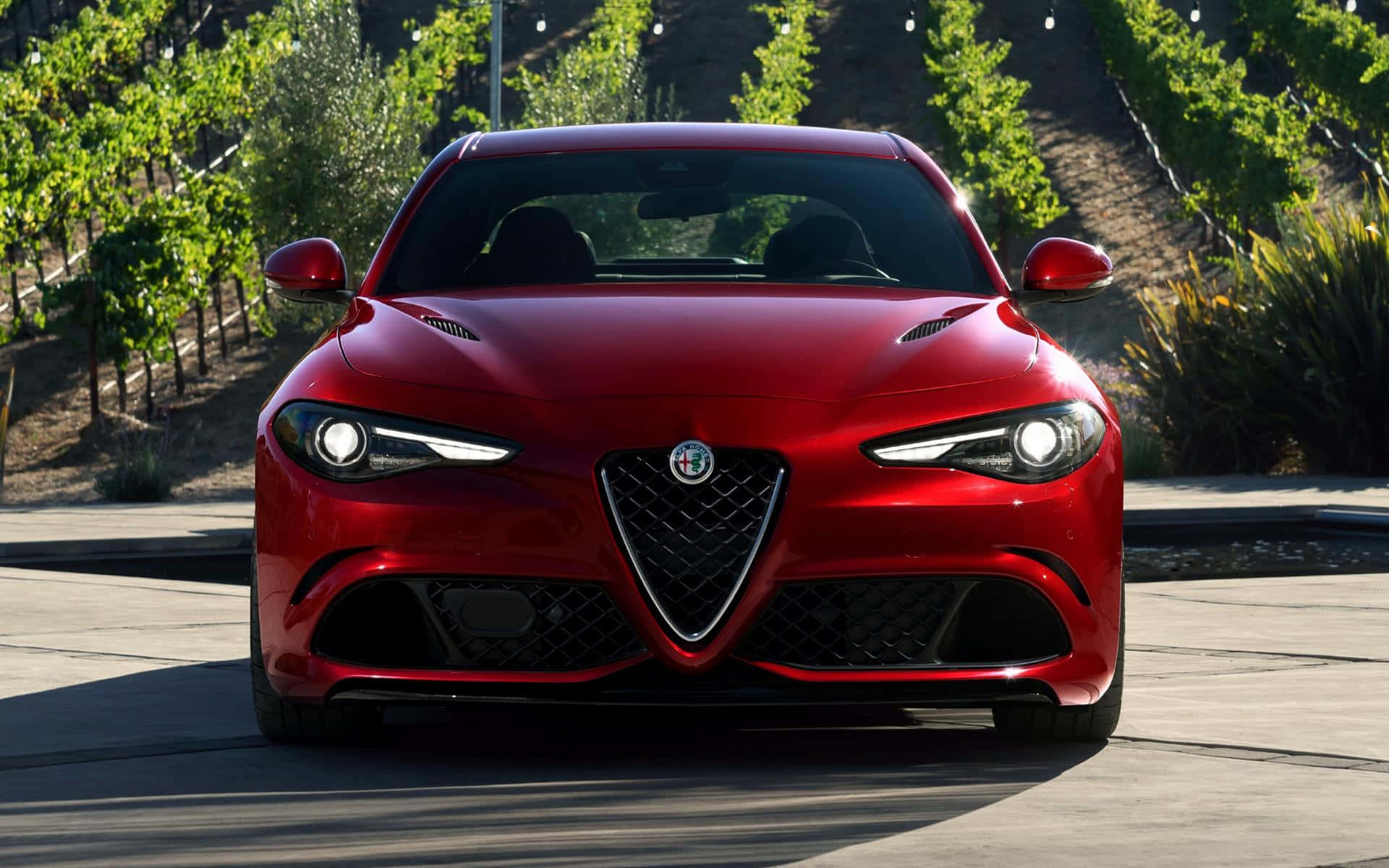 Alfa Romeo Giulia, glossy red, sunlit concrete path, Full HD Desktop Wallpaper