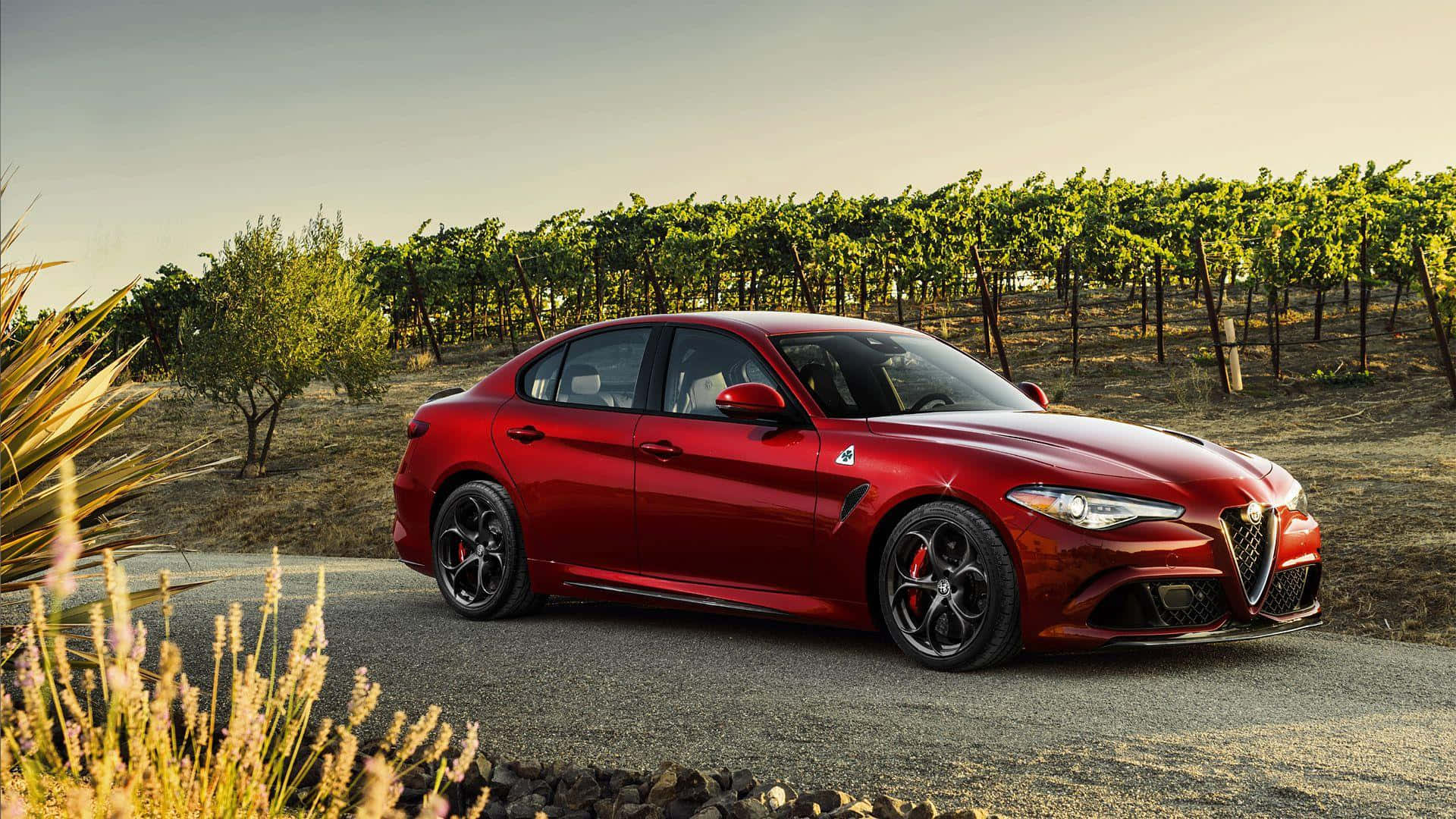 Alfa Romeo Giulia, glossy red, gravel road, Full HD Desktop Wallpaper