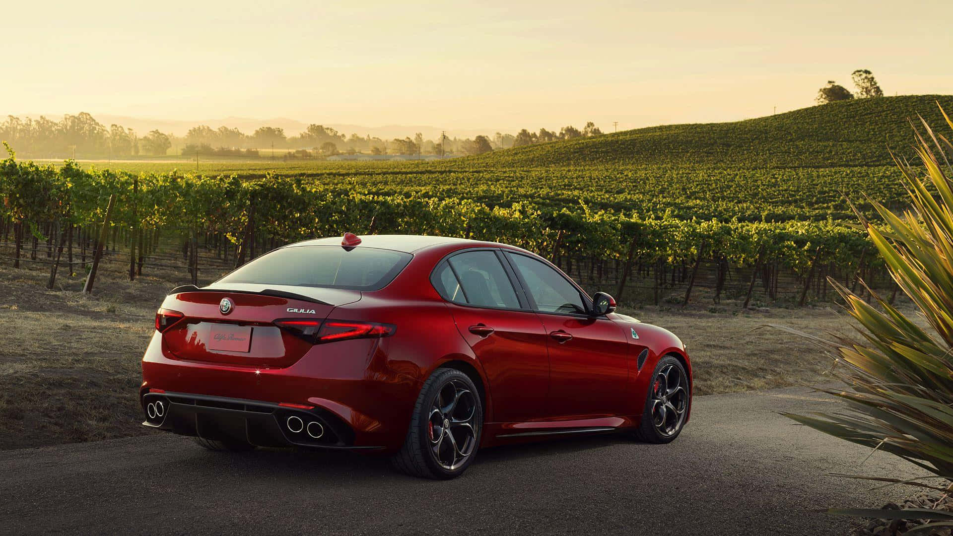 Alfa Romeo Giulia, glossy red, winding road, Full HD Desktop Wallpaper