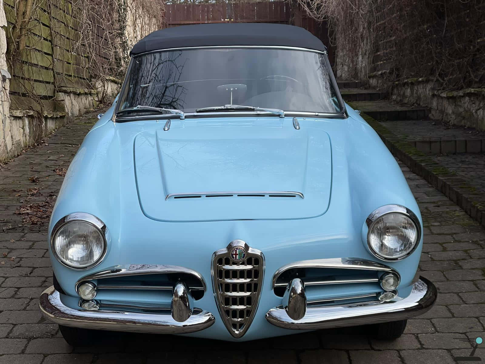 Alfa Romeo Spider, 1600, light blue, HD Desktop Wallpaper