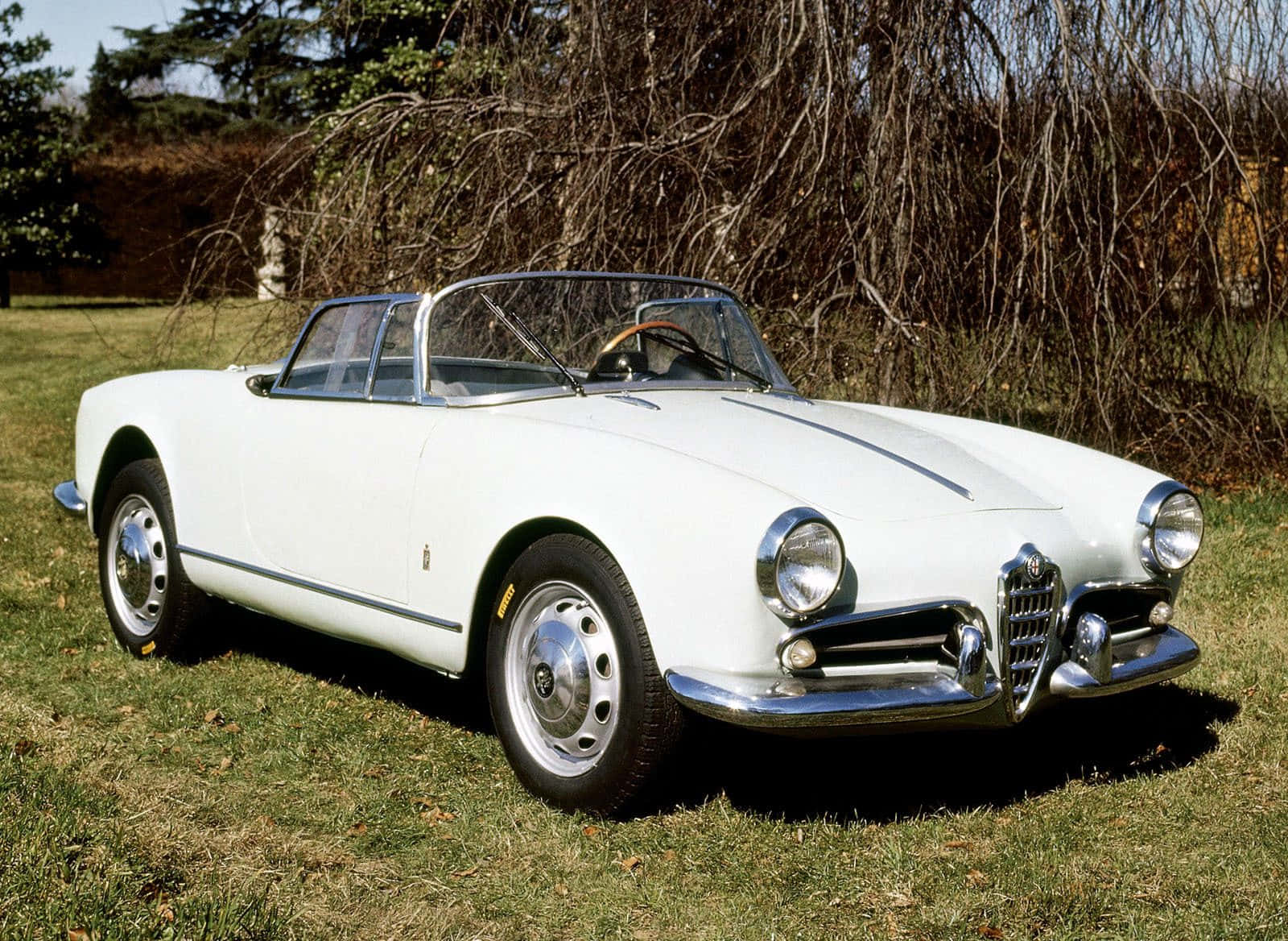 Alfa Romeo Spider, 1600, white, HD Desktop Wallpaper