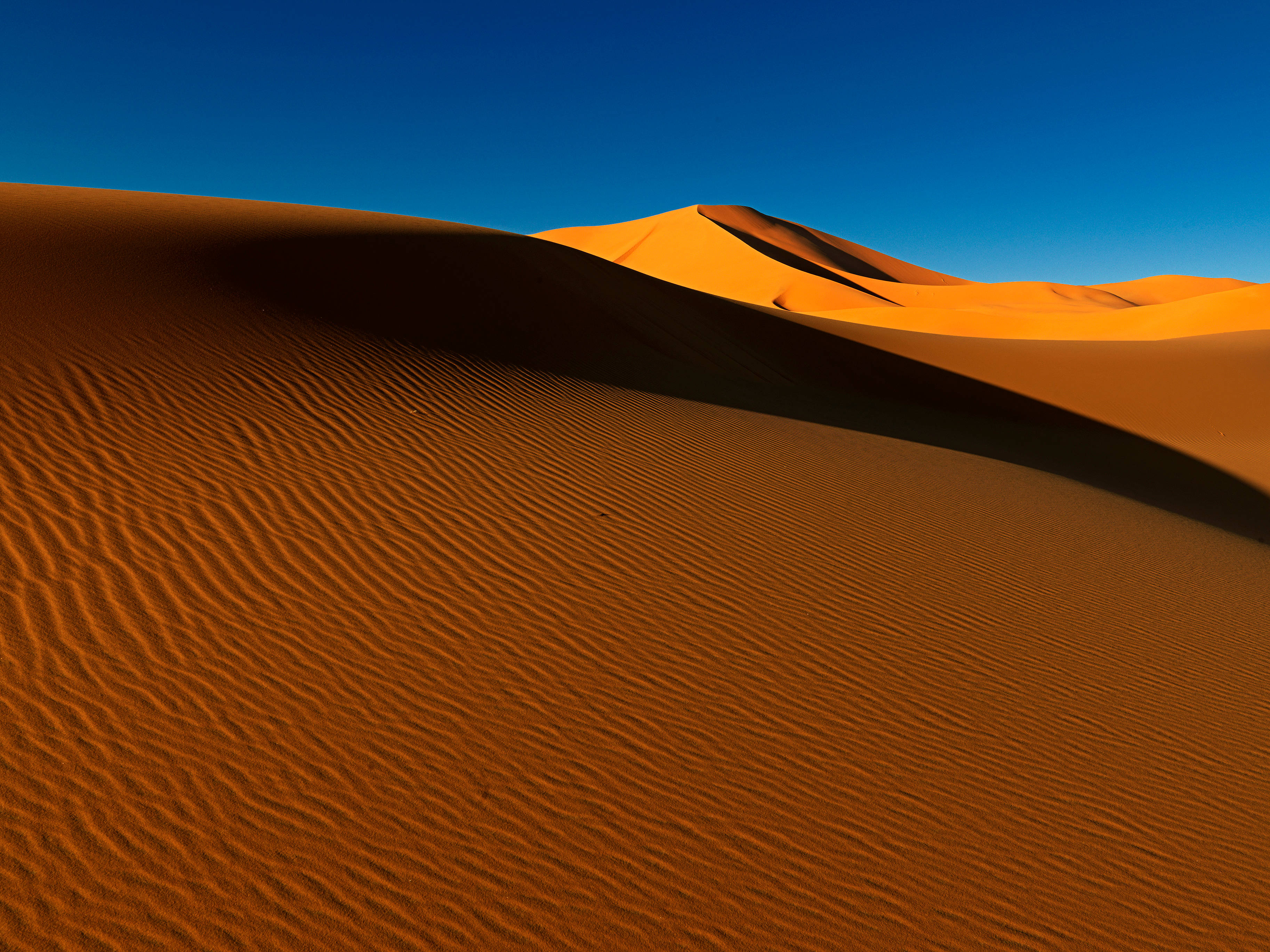 Algeria, desert, orange sand dunes, 2K Desktop Wallpaper