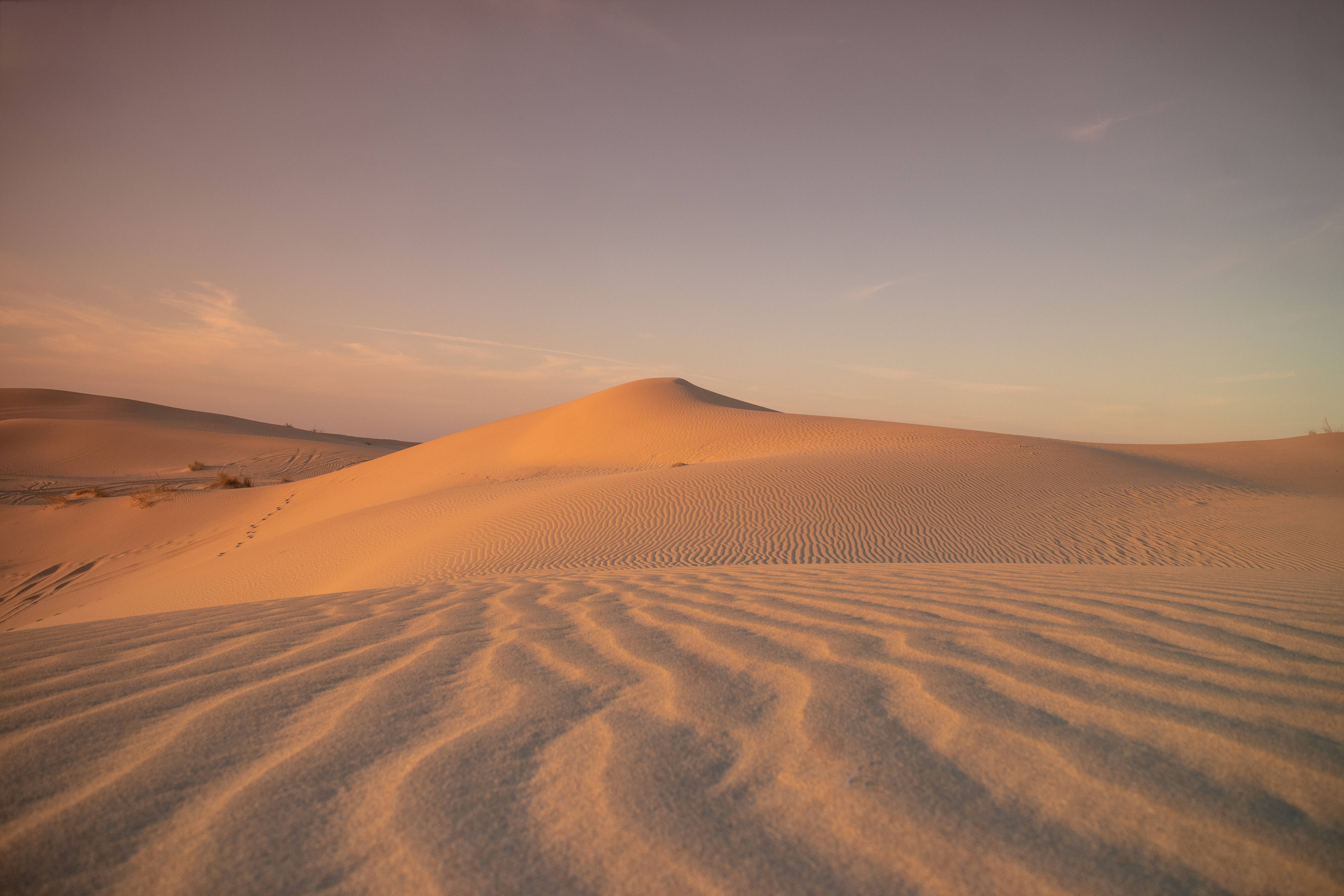 Algeria, desert, sand dunes, 5K Desktop Wallpaper