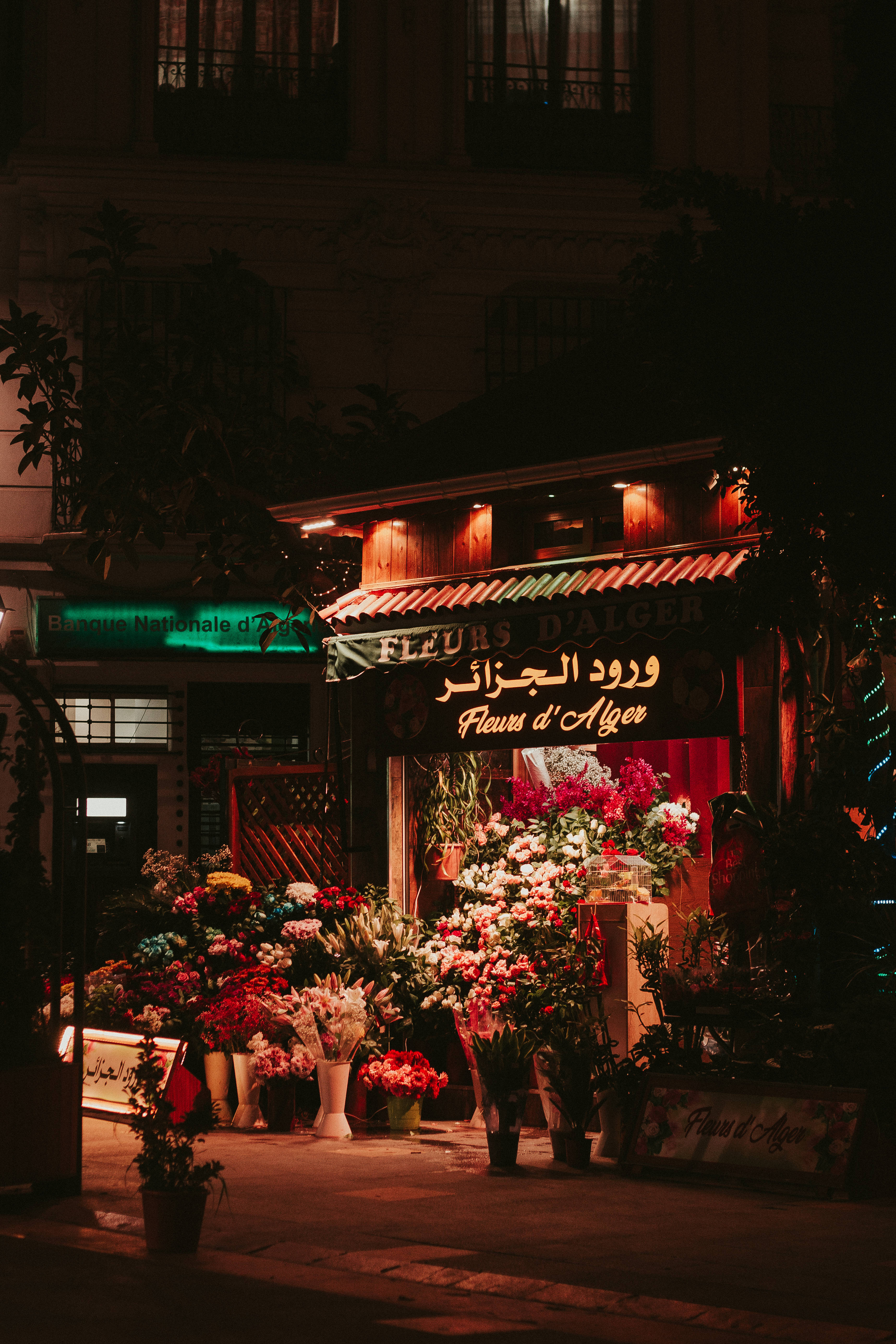 Algeria, flower shop, night, 5K Phone Wallpaper