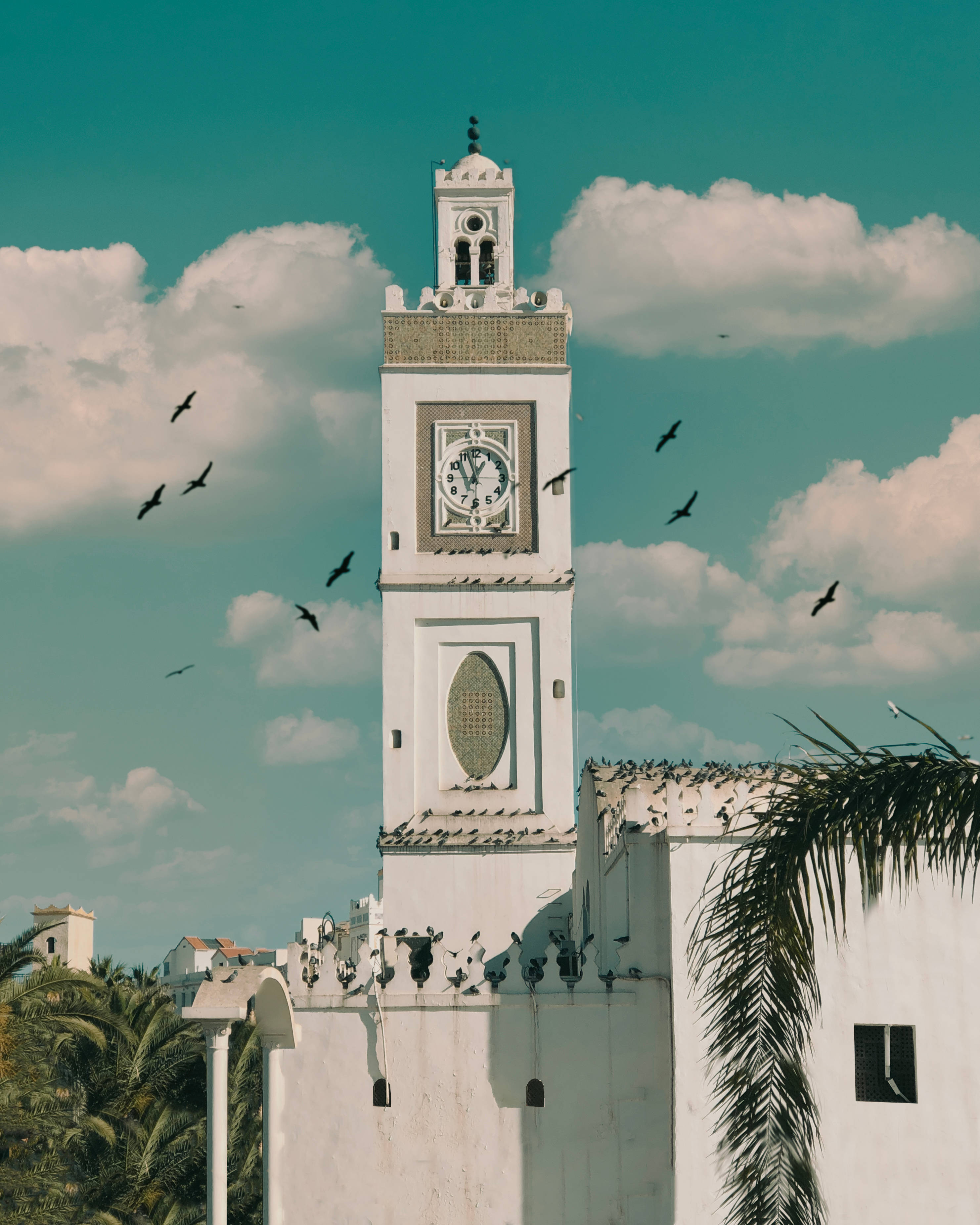 Algeria, white clock tower, birds flying, 2K Phone Wallpaper