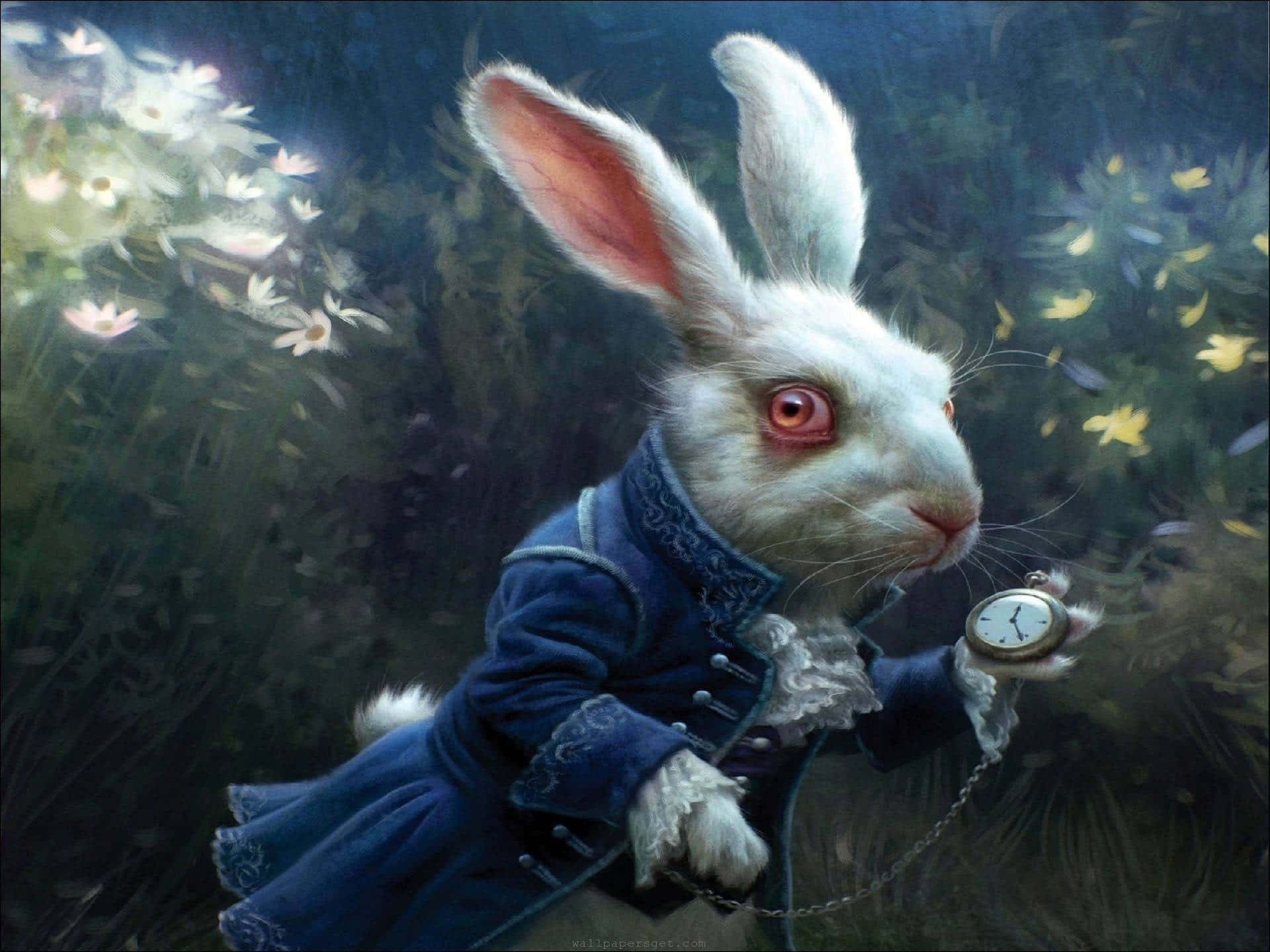 Alice, white rabbit, blue coat, Full HD Desktop Wallpaper