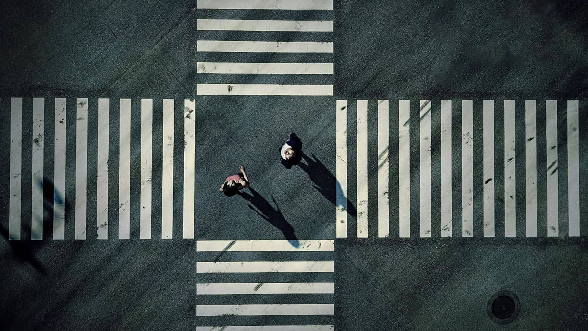 Alice In Borderland, crosswalk, stark white-striped street, Full HD Desktop Wallpaper
