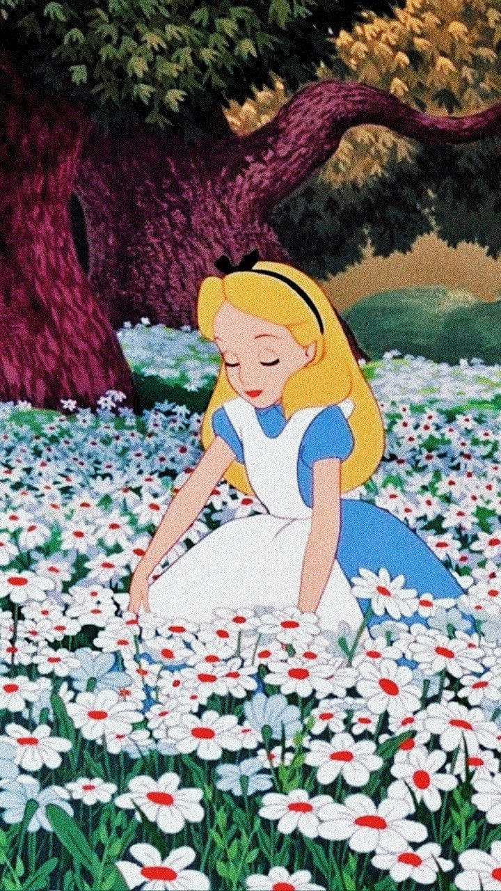 Alice In Wonderland, white daisies, red centers, HD Phone Wallpaper