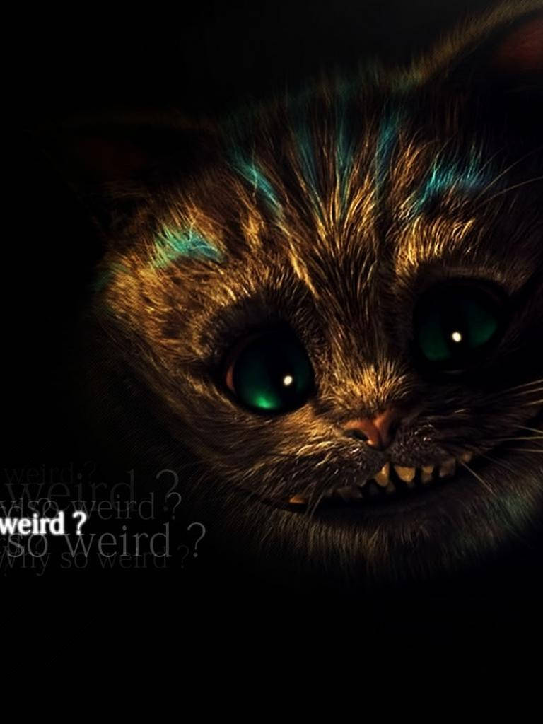 Alice In Wonderland Phone, dark-furred cat, glowing green eyes, SD Phone Wallpaper