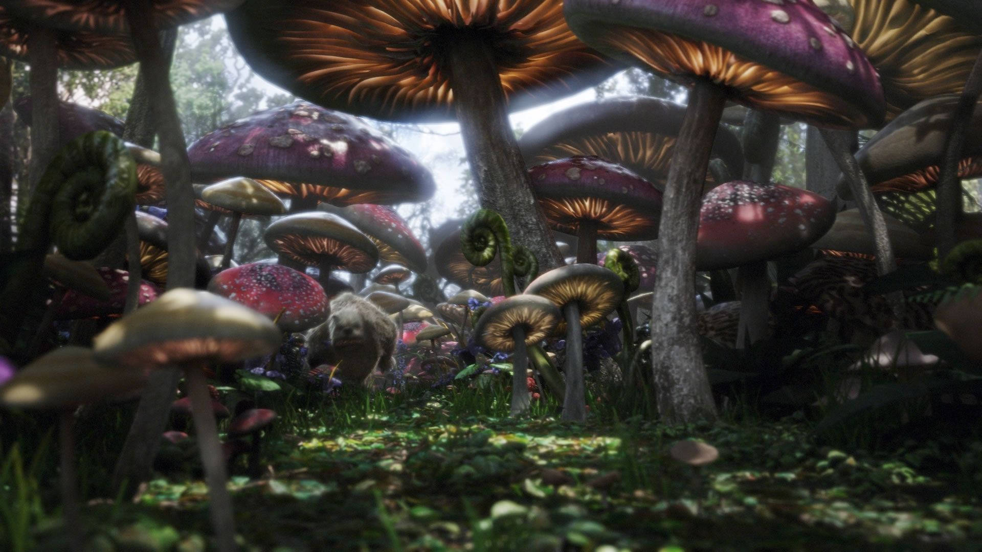 Alice In Wonderland, fungal forest, giant colorful mushrooms, Full HD Desktop Wallpaper