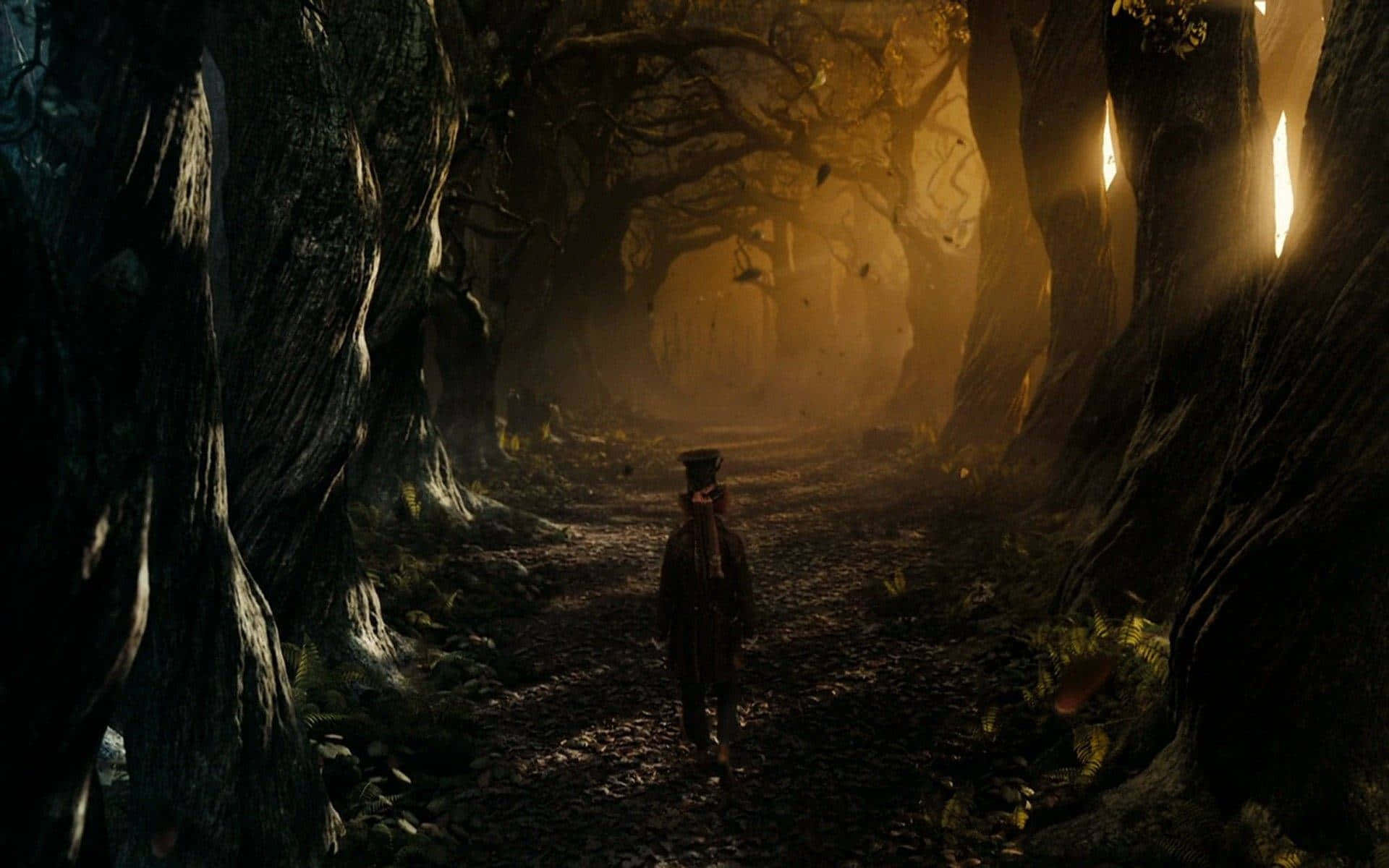Alice Wonderland Aesthetic, misty forest path, towering ancient trees, Full HD Desktop Wallpaper