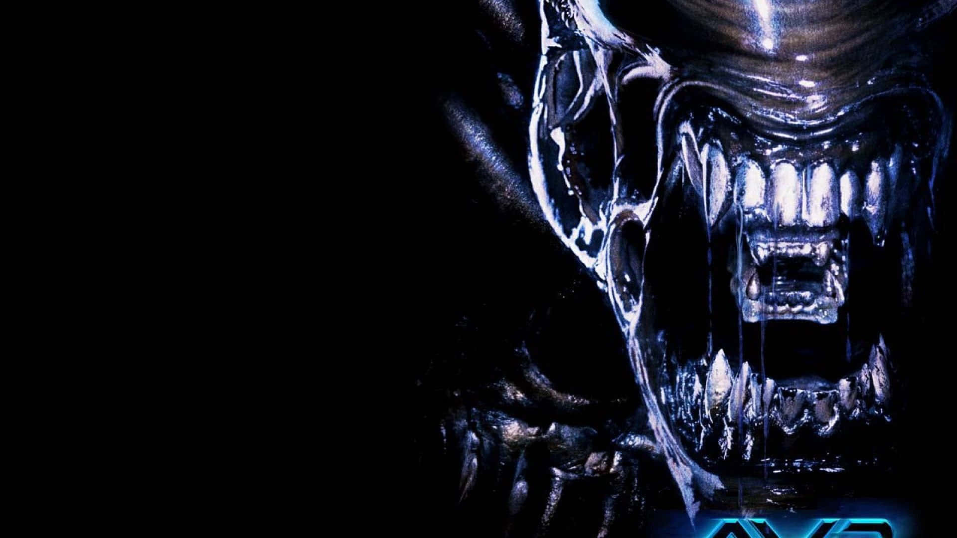 Alien Vs Predator, metallic skull, sharp teeth, Full HD Desktop Wallpaper