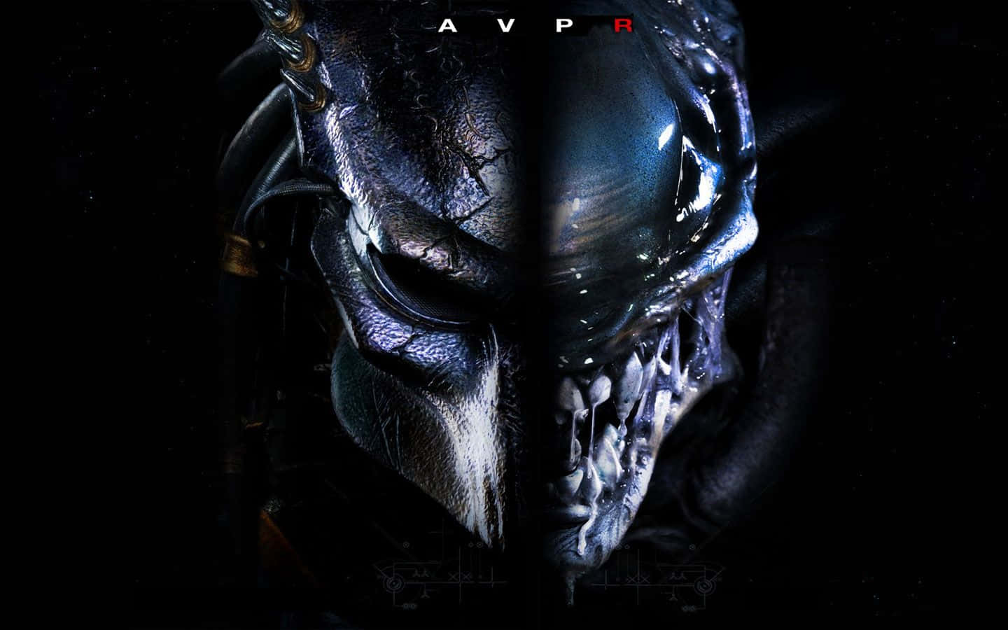 Alien Vs Predator, Predator, Alien, HD Desktop Wallpaper