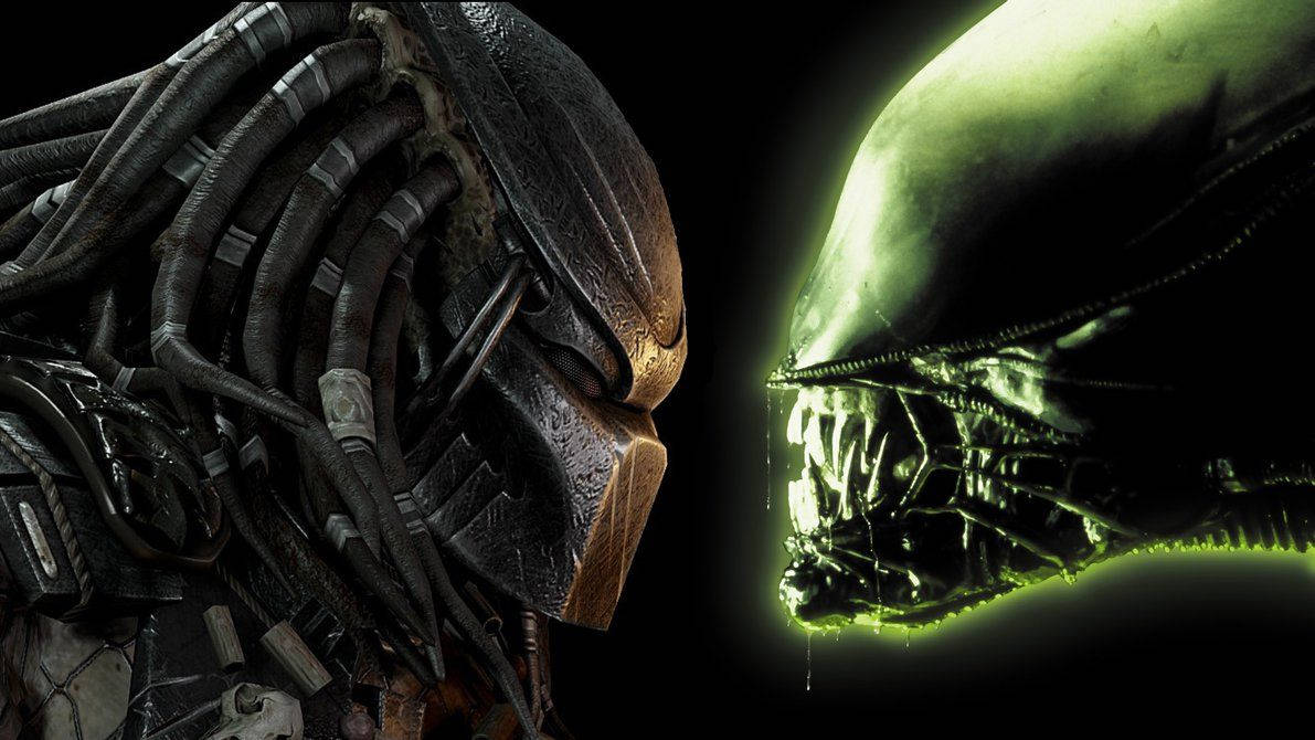 Predator, Alien, glowing green, SD Desktop Wallpaper
