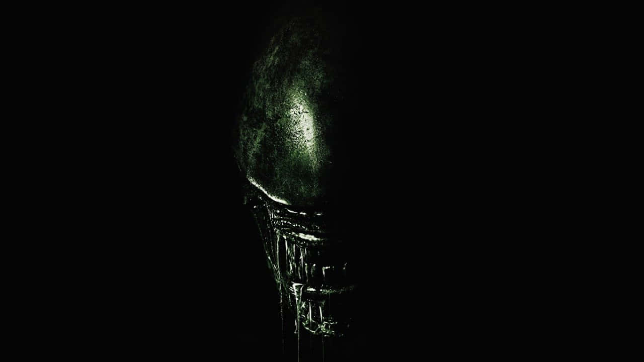 Alien, glowing green highlights, textured skull, HD Desktop Wallpaper