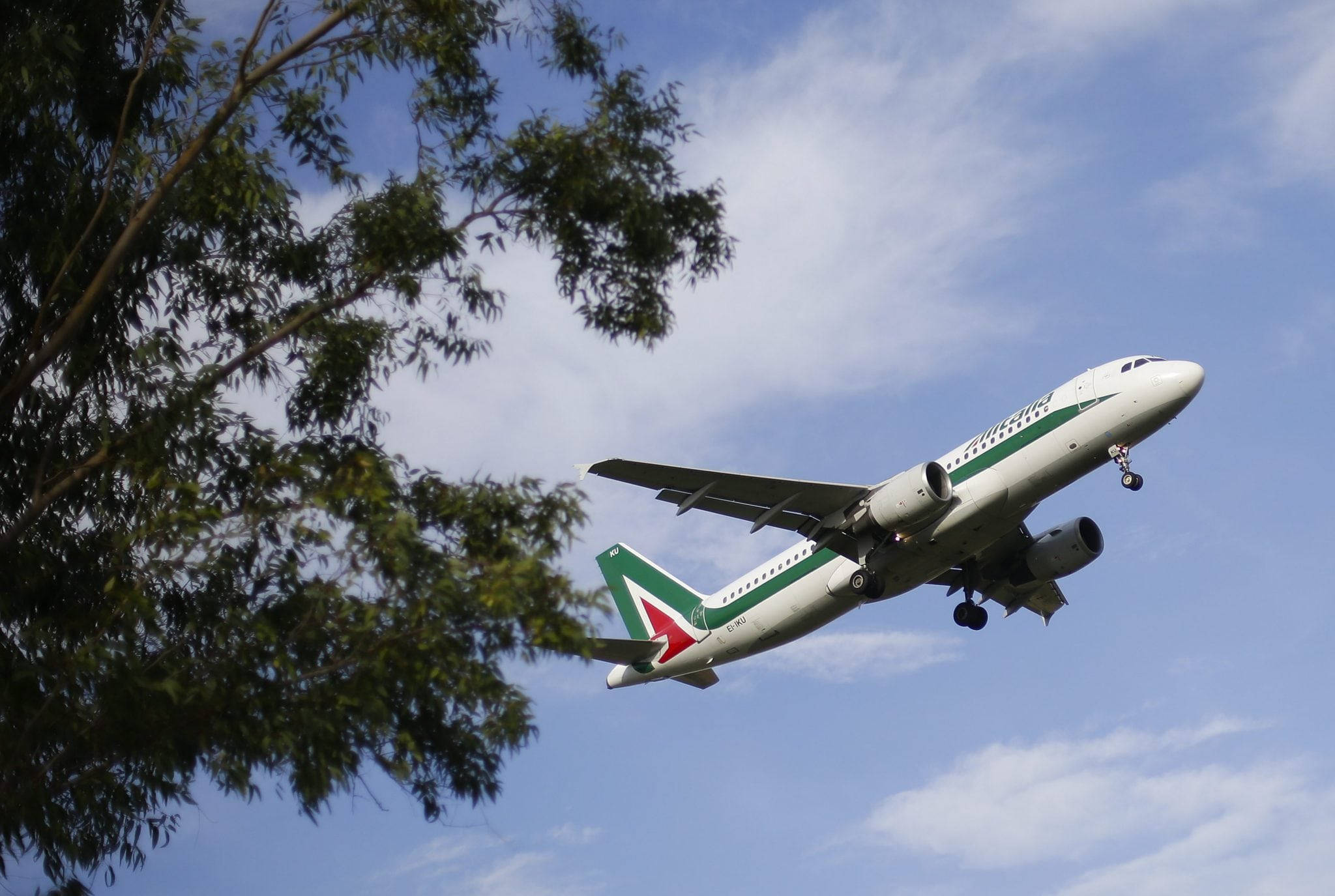 Alitalia, green and white airplane, landing gear down, Full HD Desktop Wallpaper