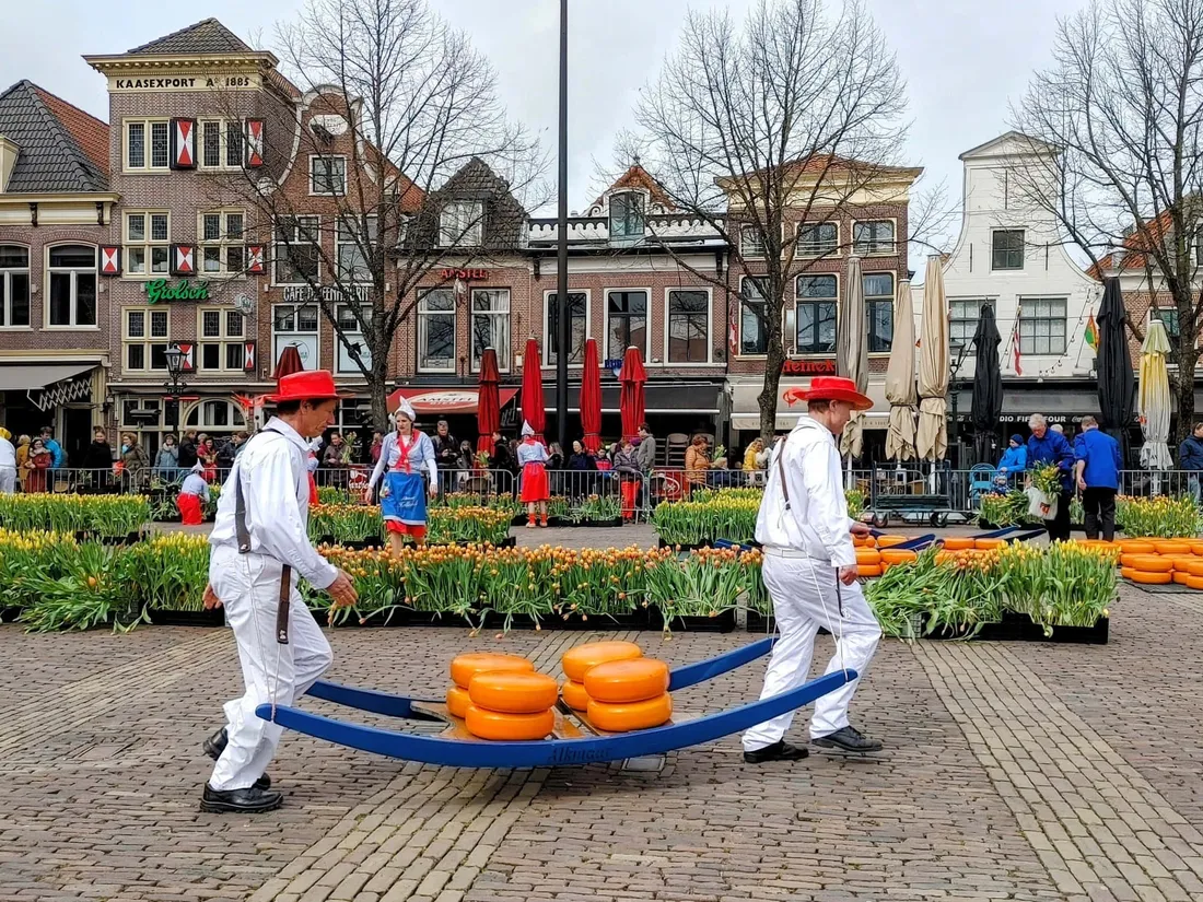 Alkmaar