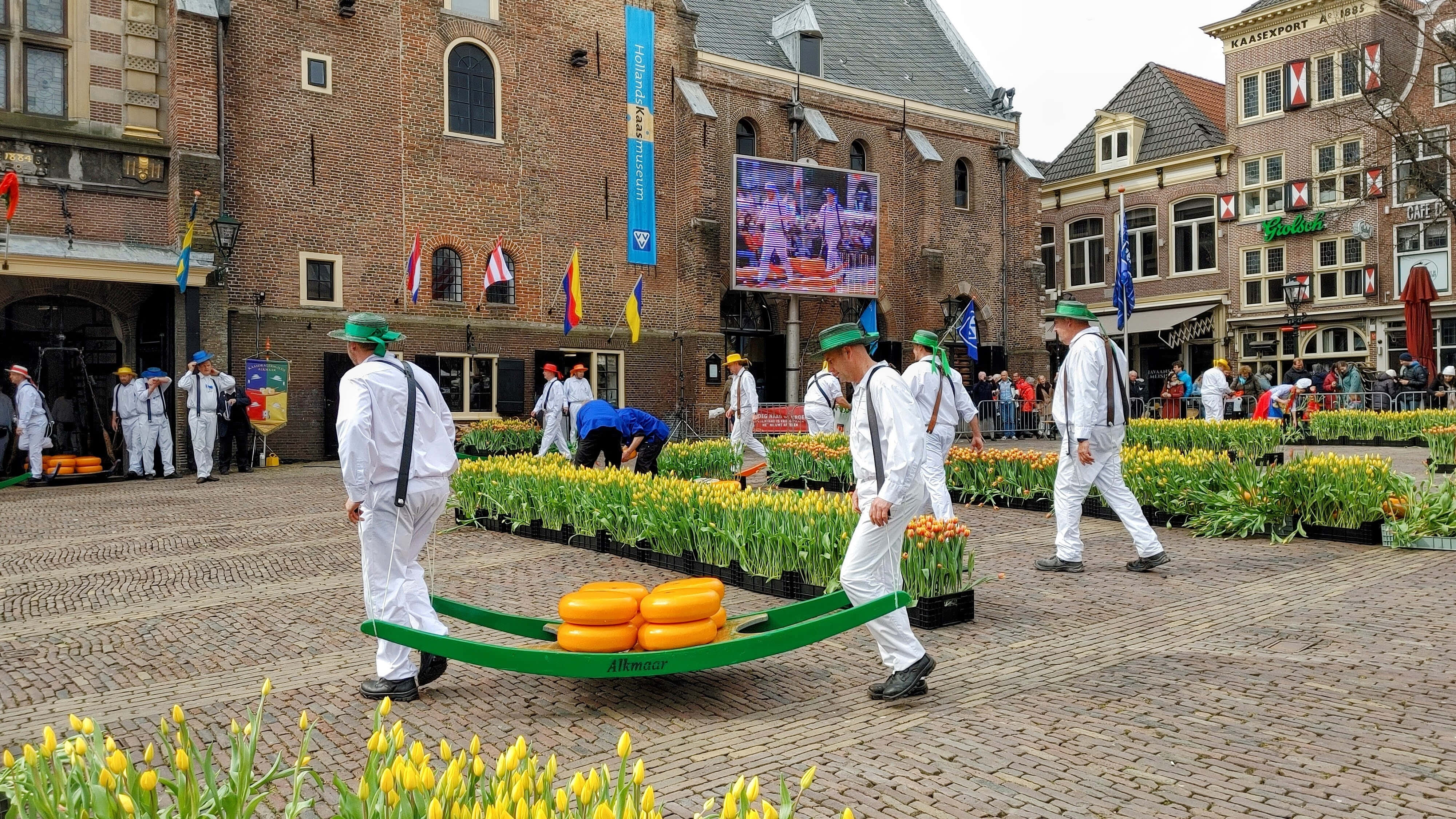 Alkmaar, cheese market, traditional carriers, 4K Desktop Wallpaper