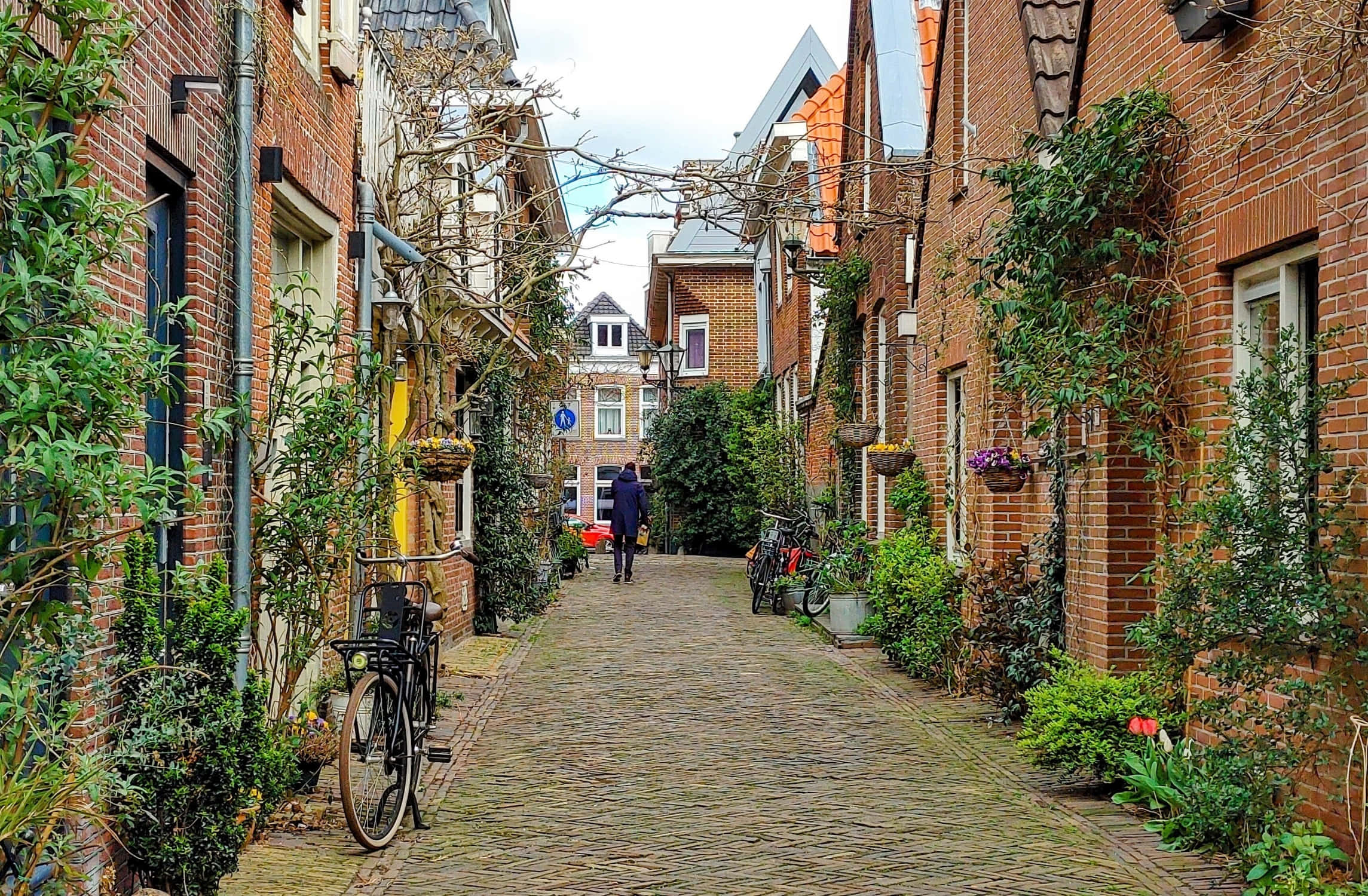 Alkmaar, cobblestone alleyway, red brick houses, Full HD Desktop Wallpaper