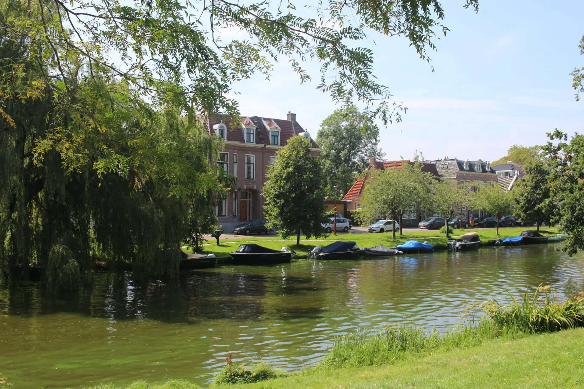 Alkmaar, canal, willow trees, Full HD Desktop Wallpaper