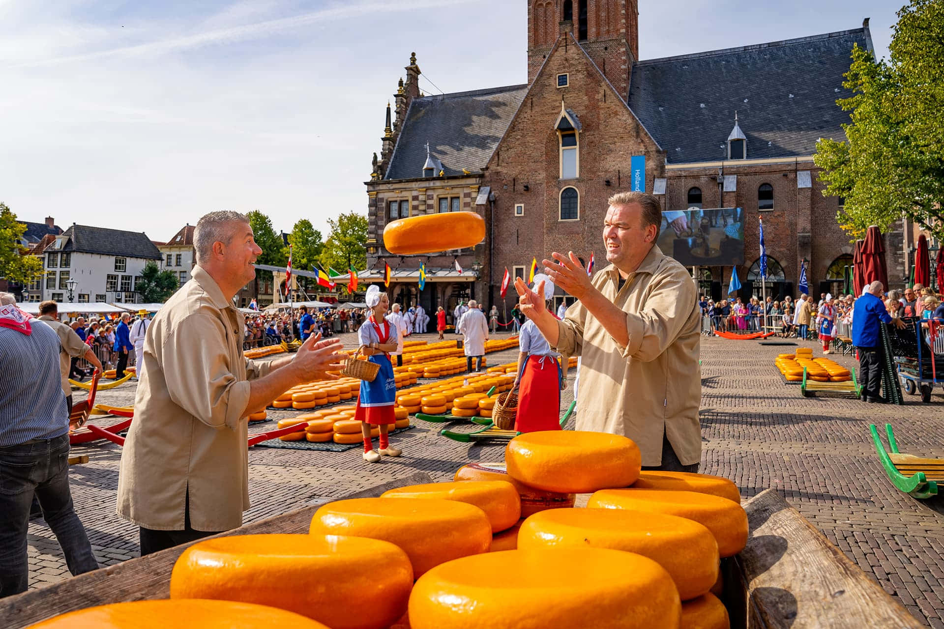 Alkmaar, cheese market tradition, giant wheel of cheese, Full HD Desktop Wallpaper