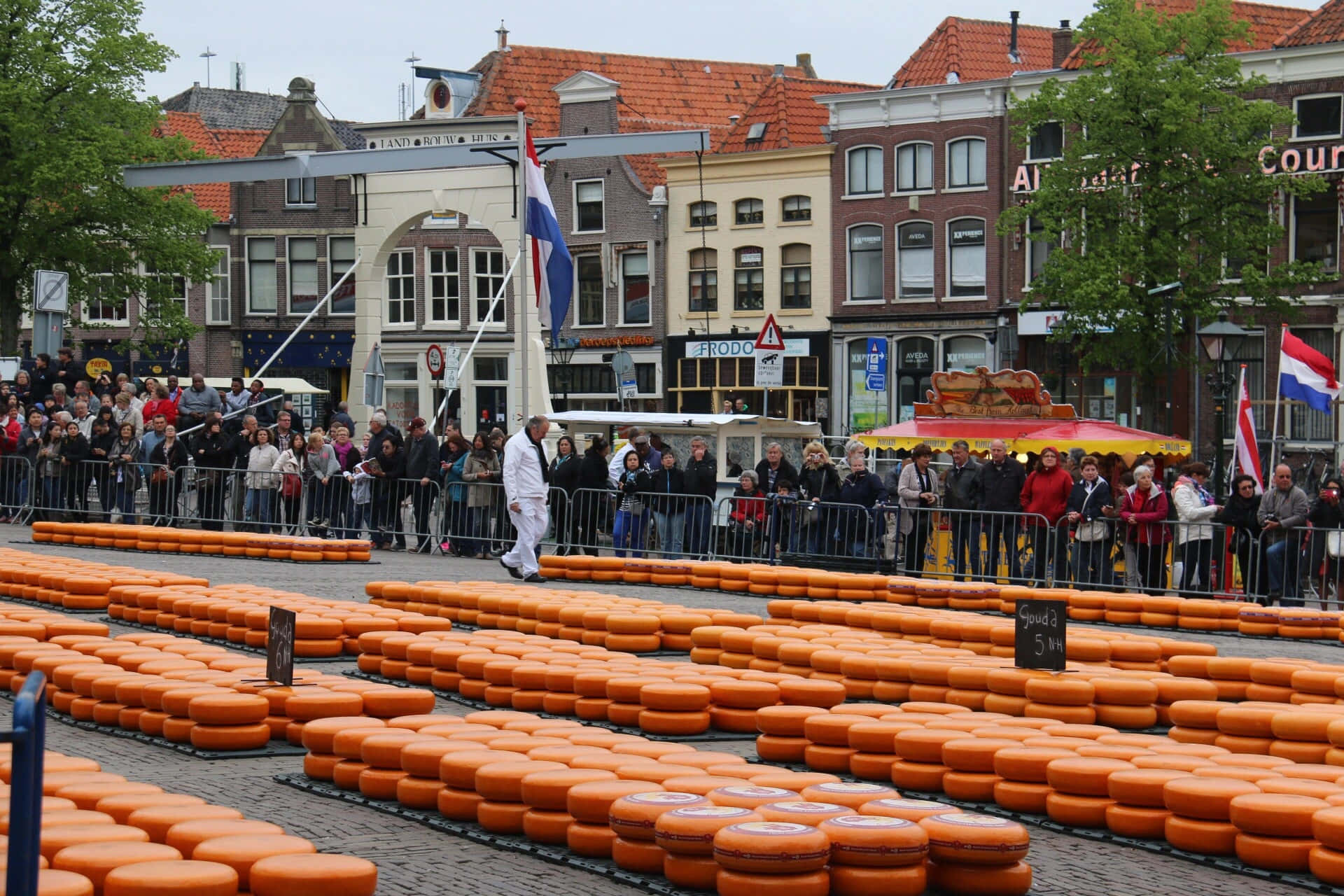 Alkmaar, cheese market, Dutch cheese wheels, Full HD Desktop Wallpaper