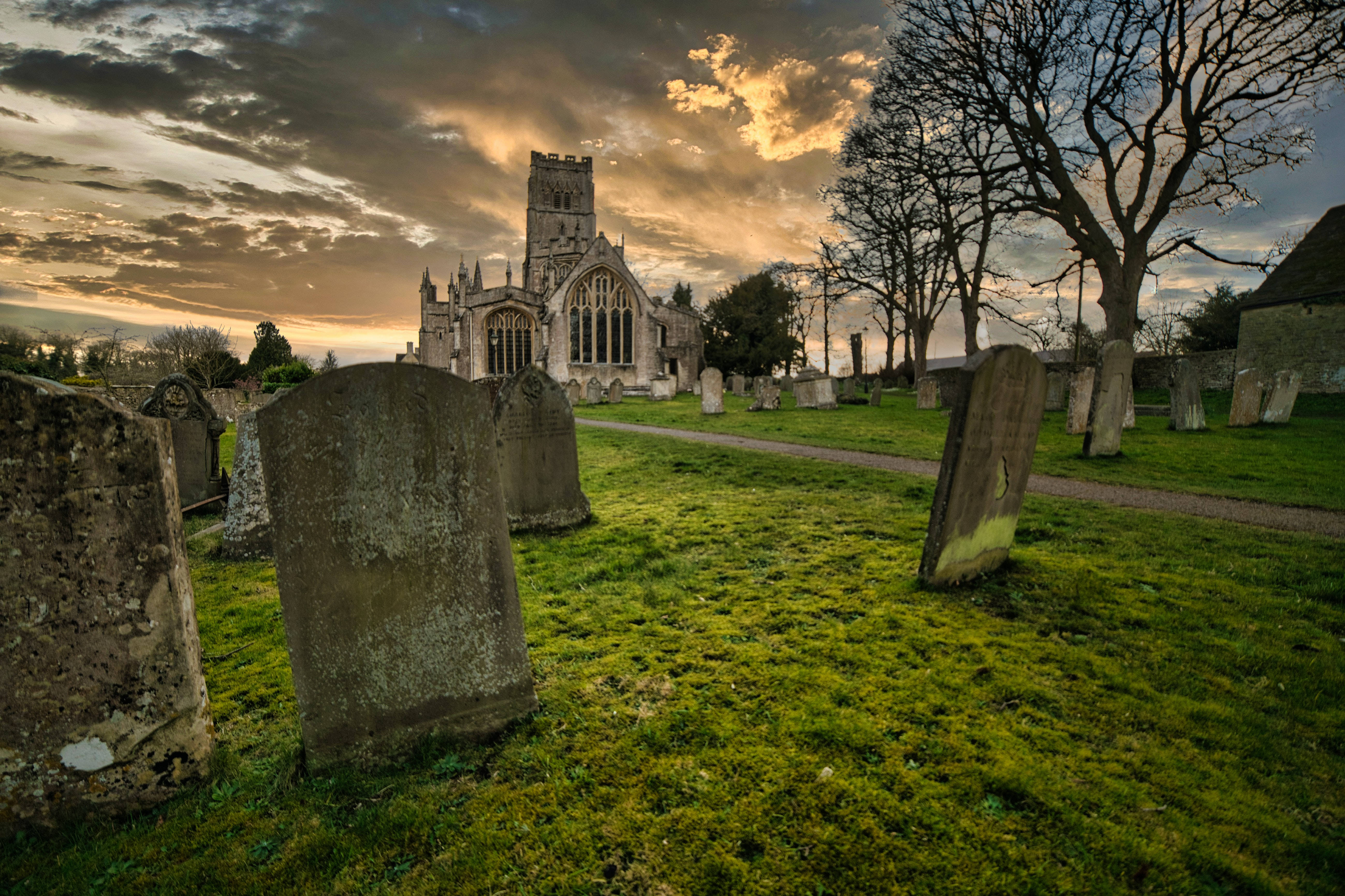 All Saints Day, cemetery, mossy path, 5K Desktop Wallpaper