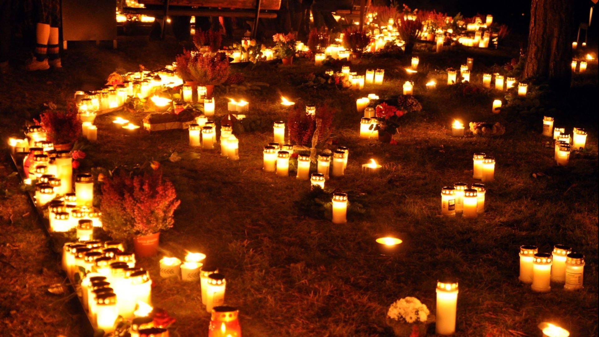 All Saints Day, candles, grass, Full HD Desktop Wallpaper