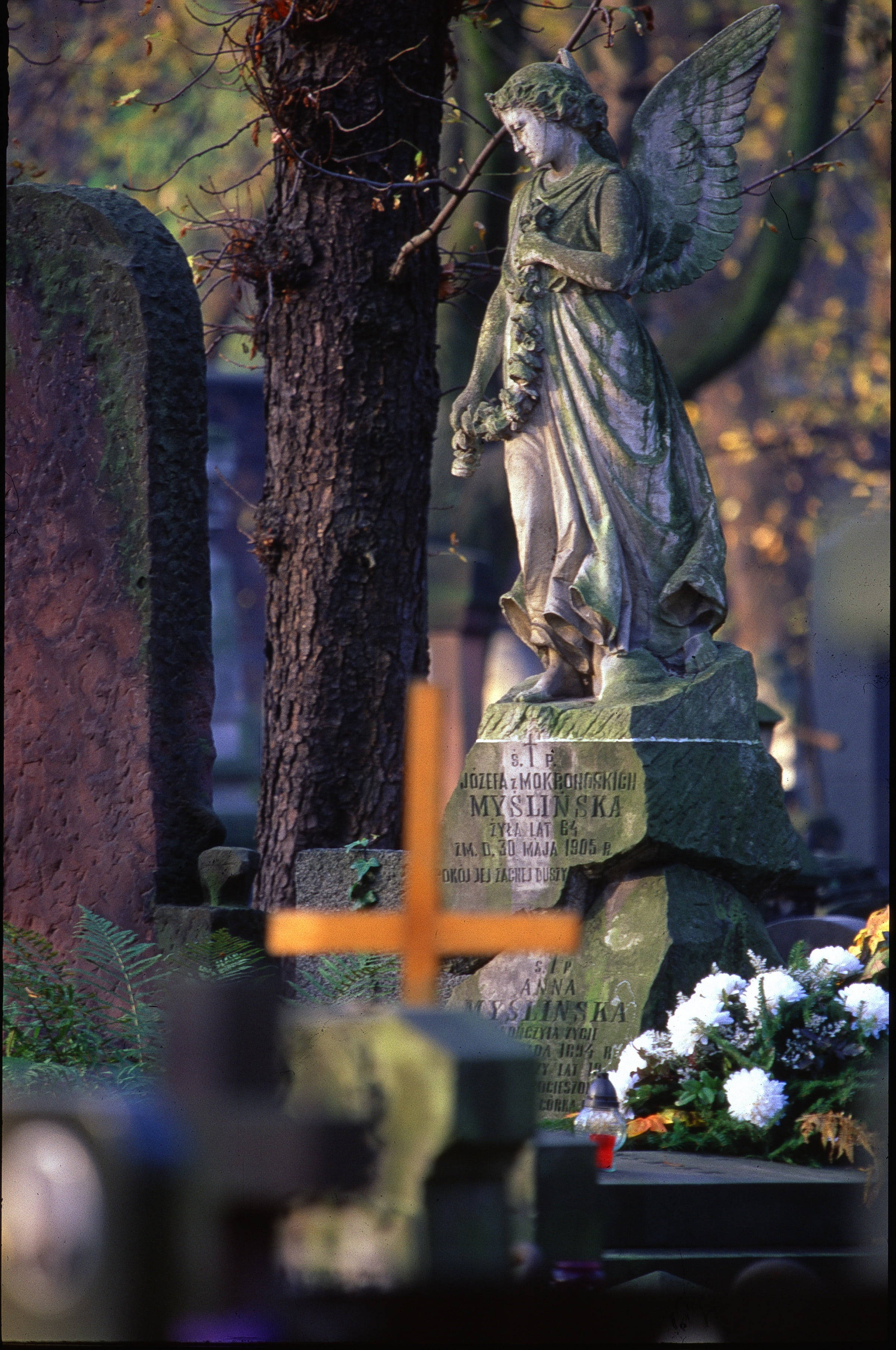 All Saints Day, angel statue, grave, 2K Phone Wallpaper