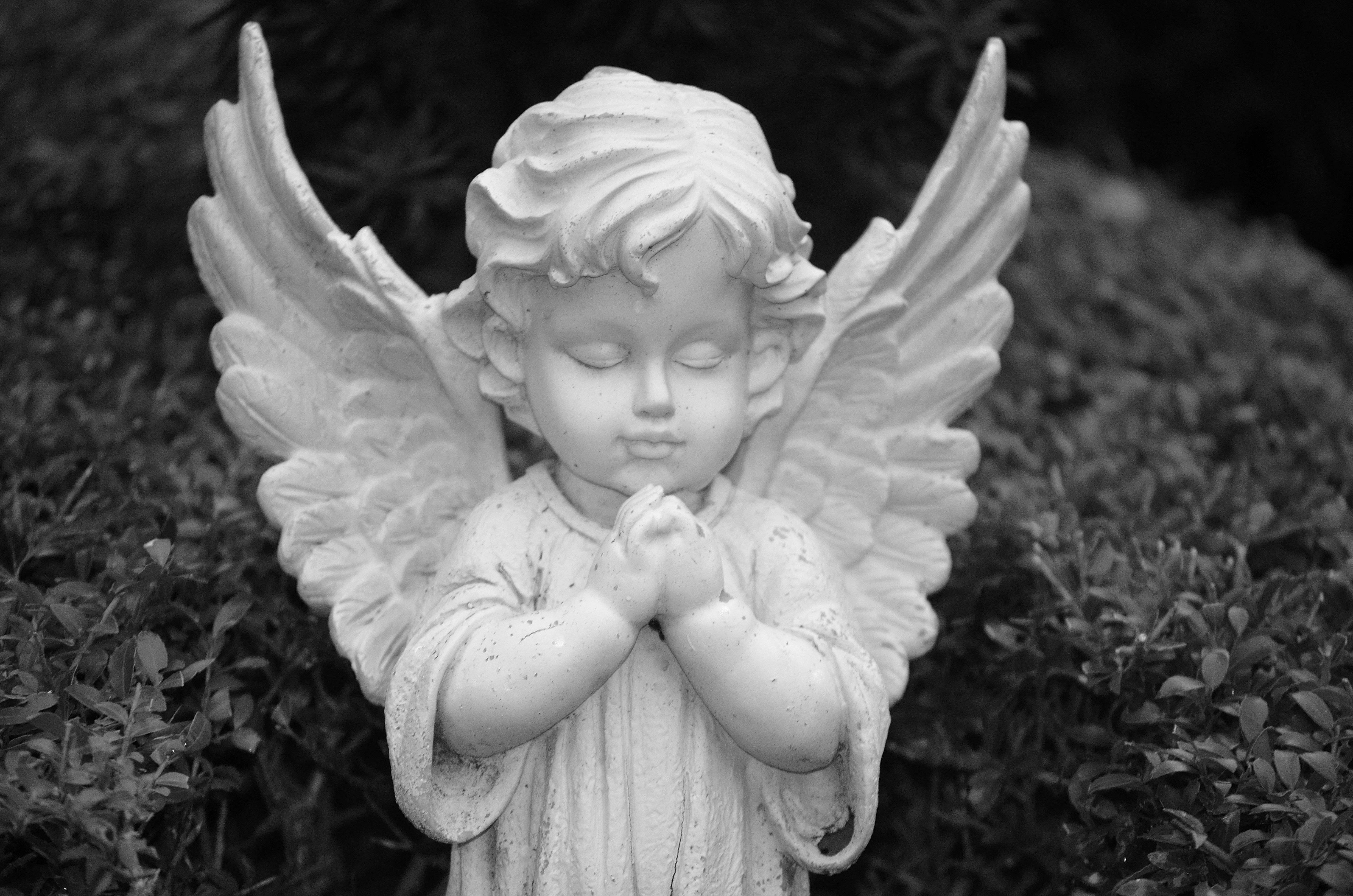 All Saints Day, young angel, black and white statue, 4K Desktop Wallpaper
