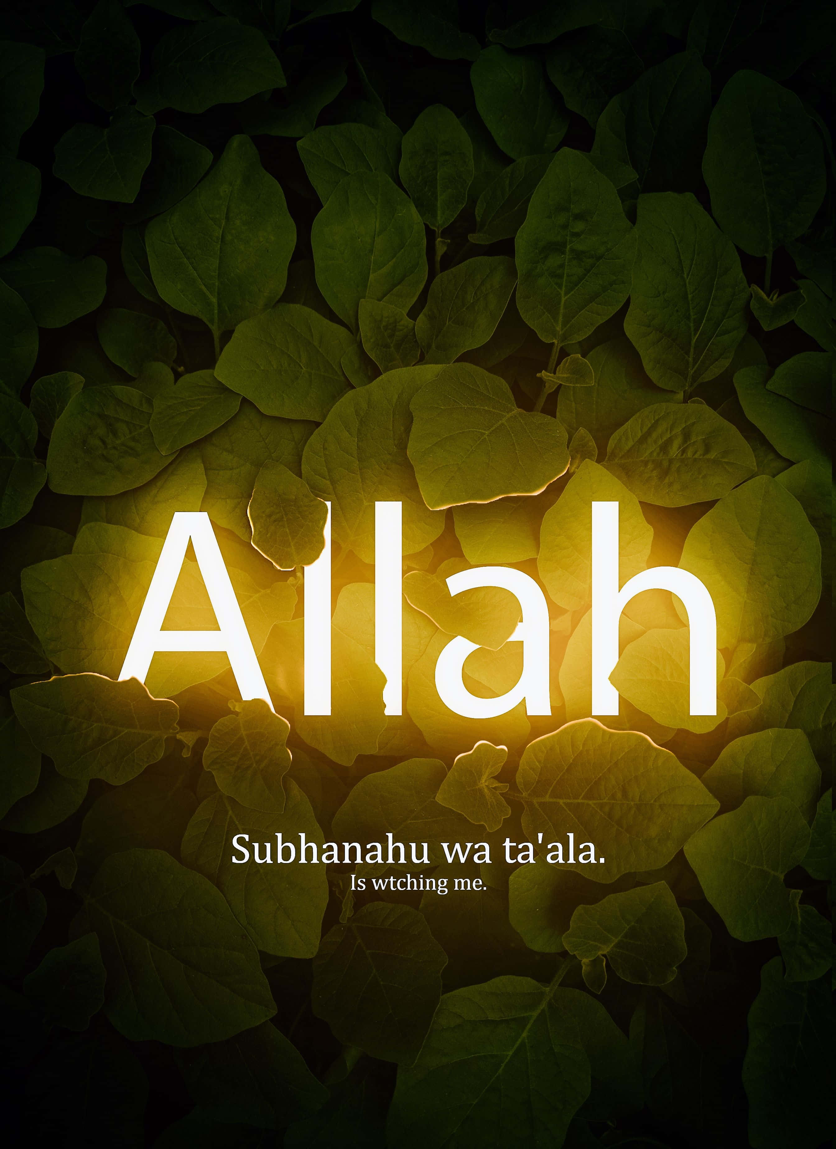 Allah, white, dark green leaves, 2K Phone Wallpaper