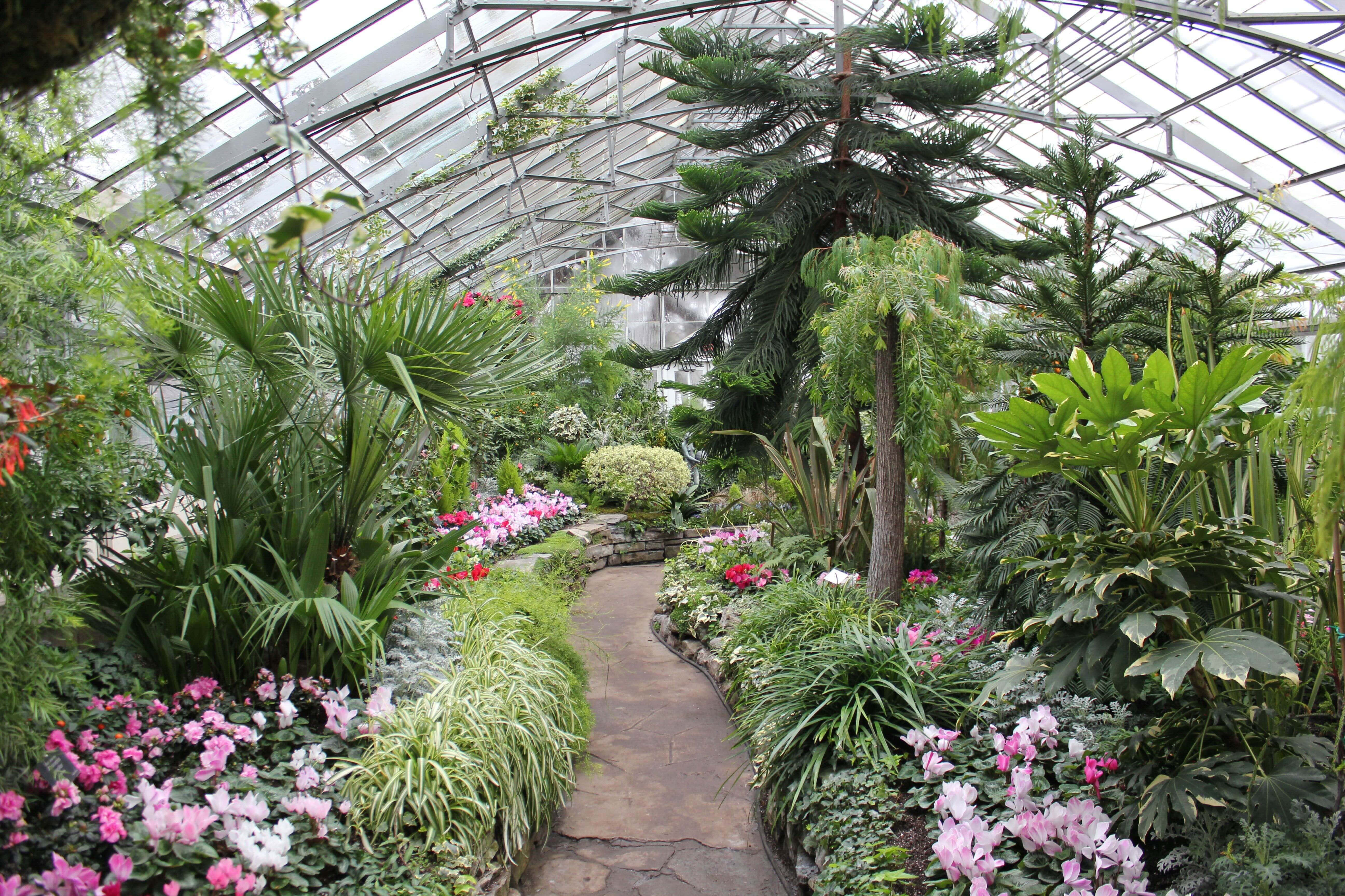 Allan Gardens Conservatory, interior greenhouse path, winding stone path, 5K Desktop Wallpaper