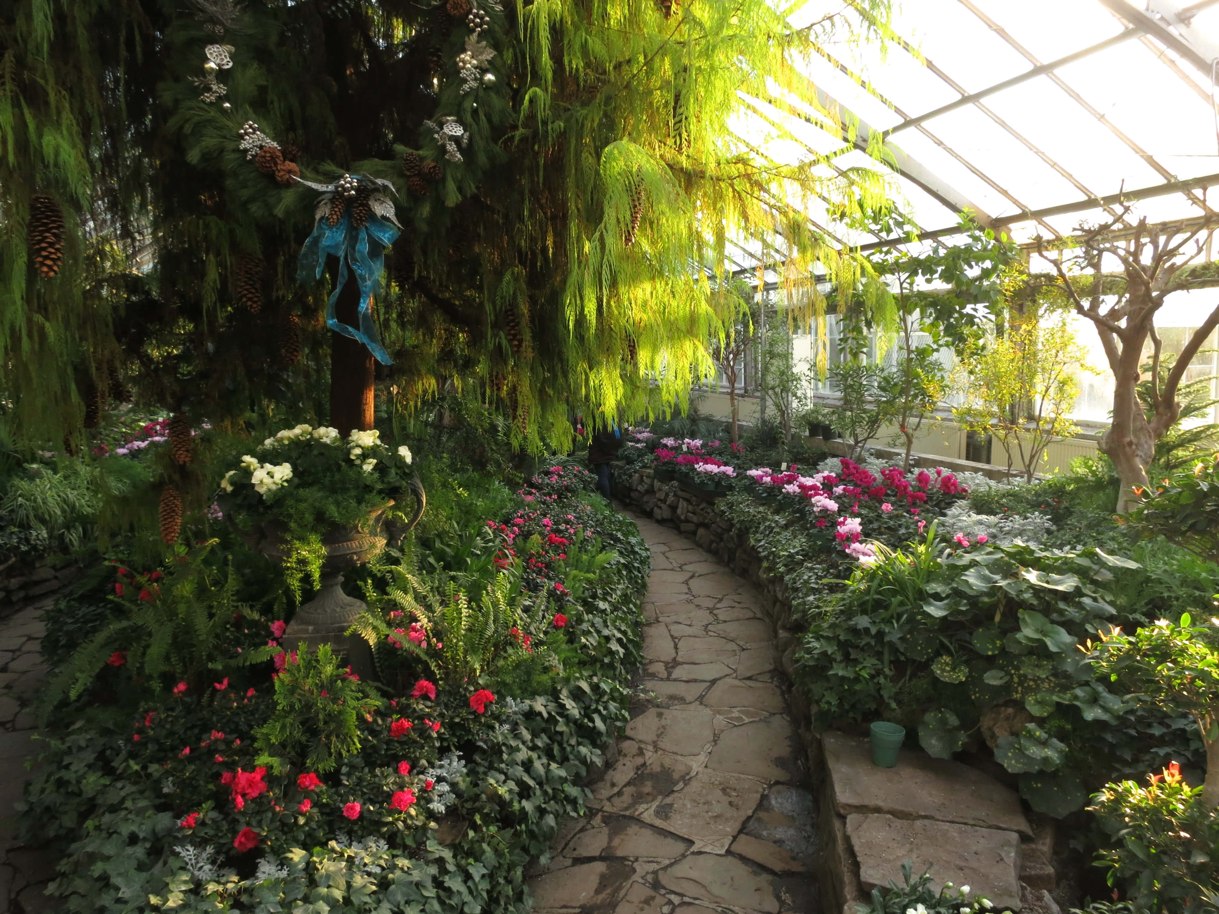 Allan Gardens Conservatory, glass greenhouse, winding stone path, 4K Desktop Wallpaper