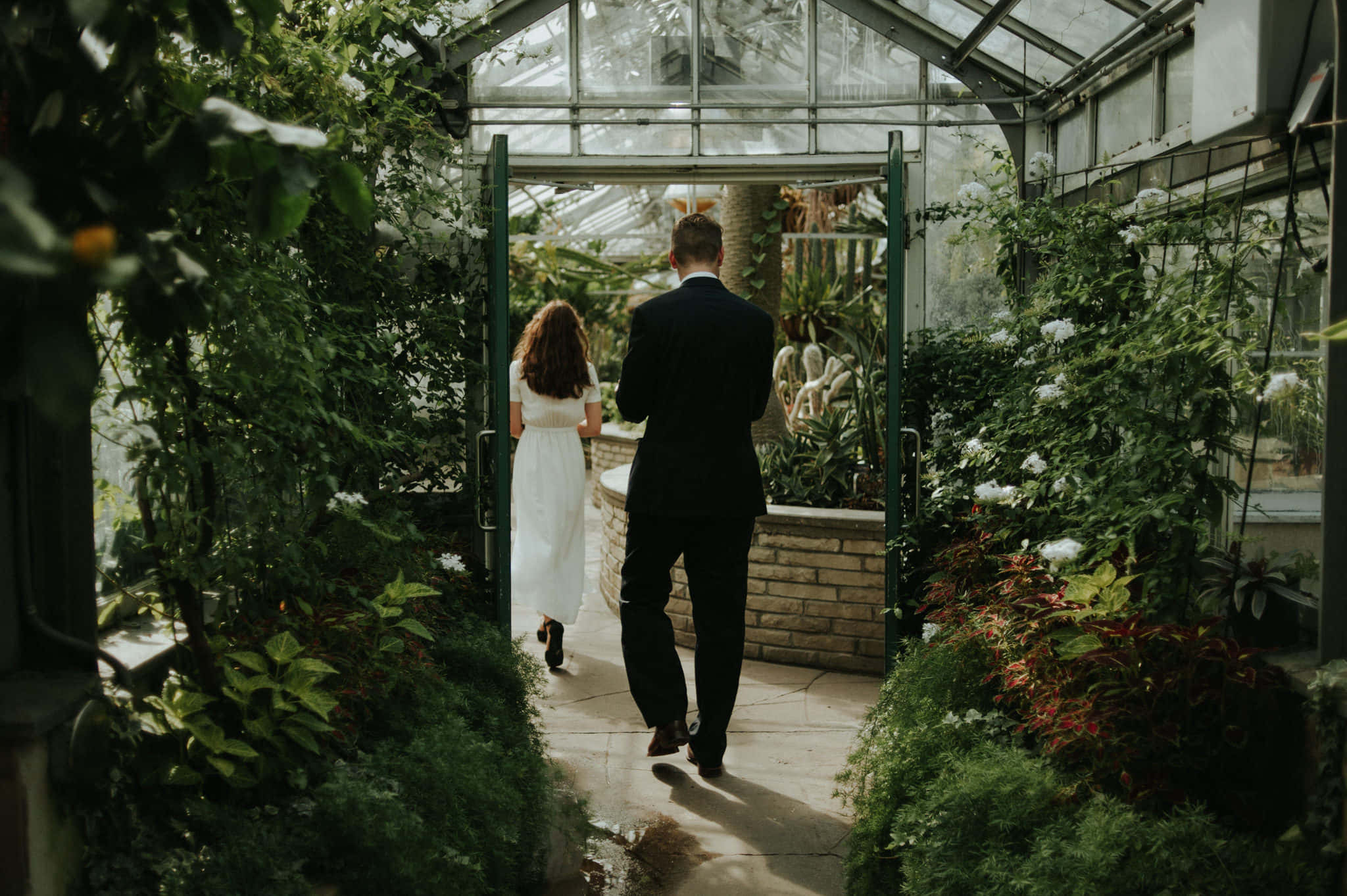Allan Gardens Conservatory, couple walking, glass greenhouse, Full HD Desktop Wallpaper