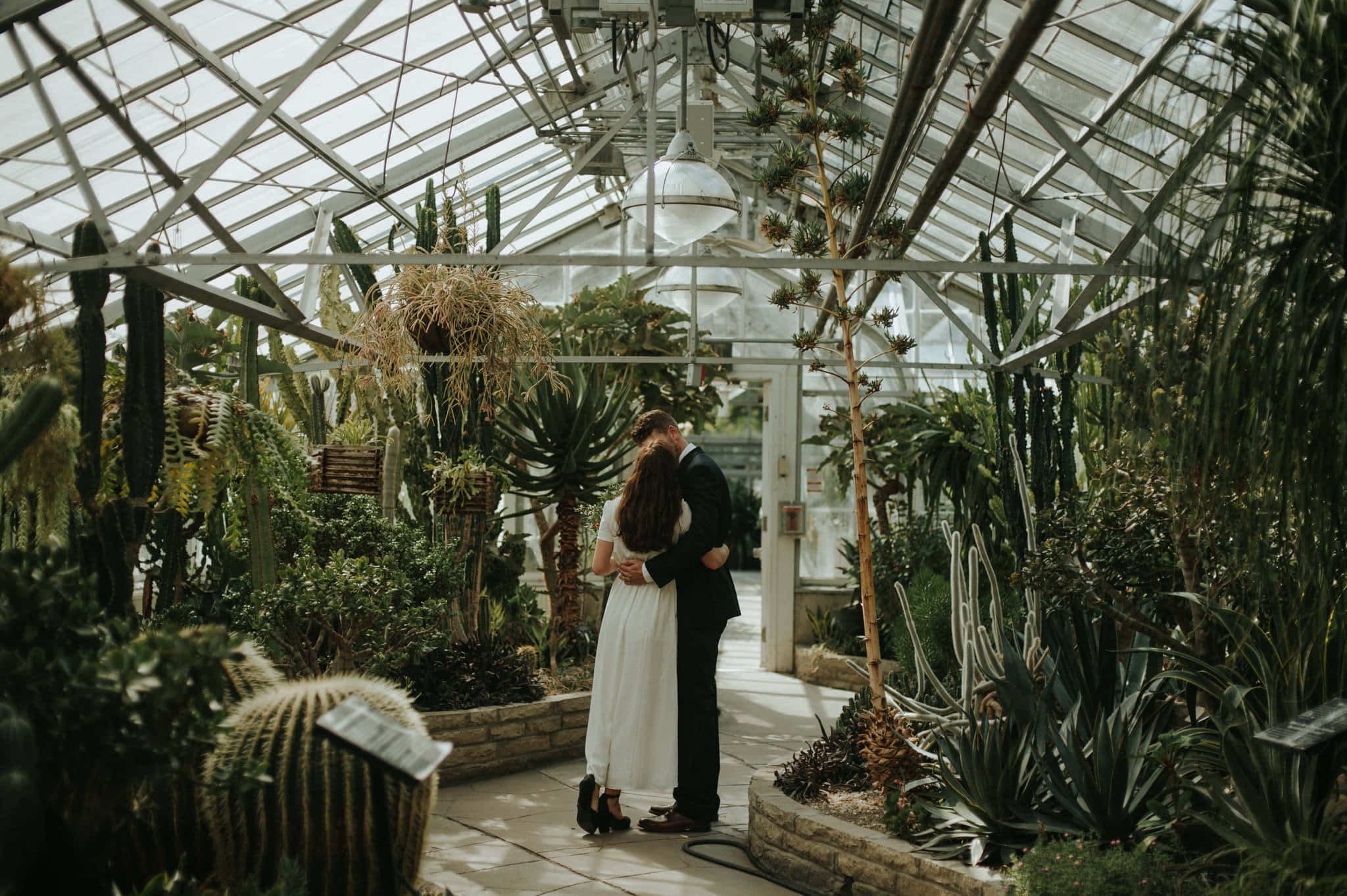 couple, Allan Gardens Conservatory, sunlit greenhouse, Full HD Desktop Wallpaper